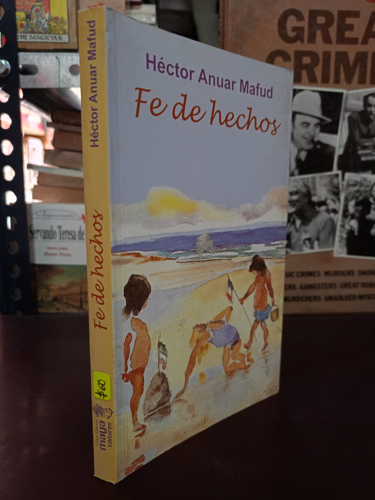 FE DE HECHOS POR HECTOR ANUAR MAFUD USADO NOVELA LITERARIO 305