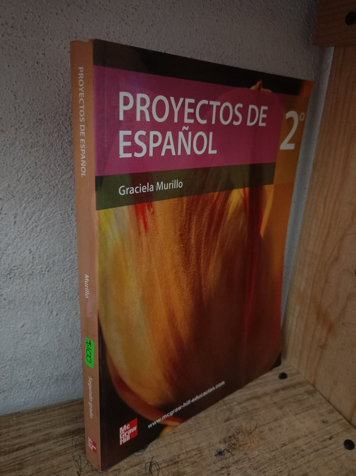 PROYECTOS DE ESPAÑOL POR GRACIELA MURILLO USADO EDUCACIÓN LITERARIO 305