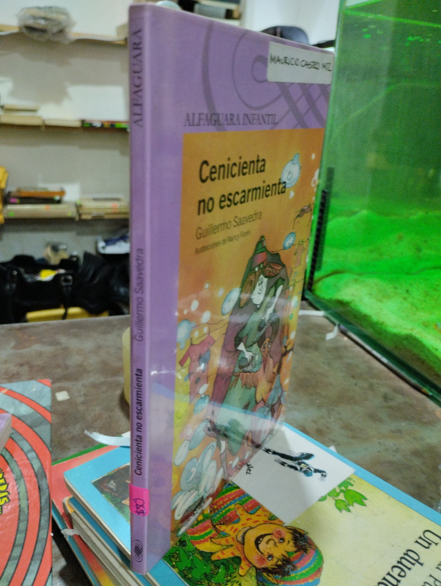 CENICIENTA NO ESCARMIENTA POR GUILLERMO SAAVEDRA USADO INFANTIL ALDAMA