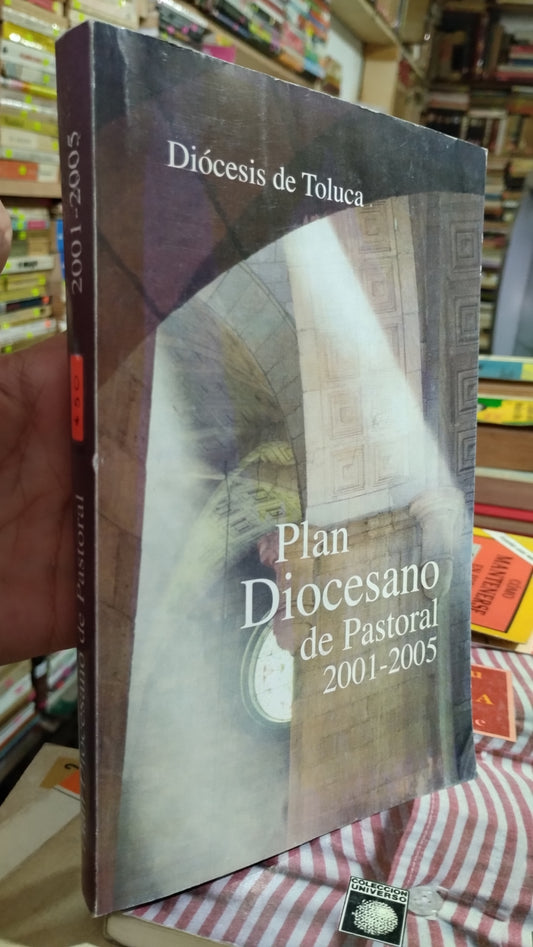 PLAN DIOCESANO DE PASTORAL 2001 2005 JESUS MARQUEZ FARFAN LIBRO USADO RELIGION ALDAMA