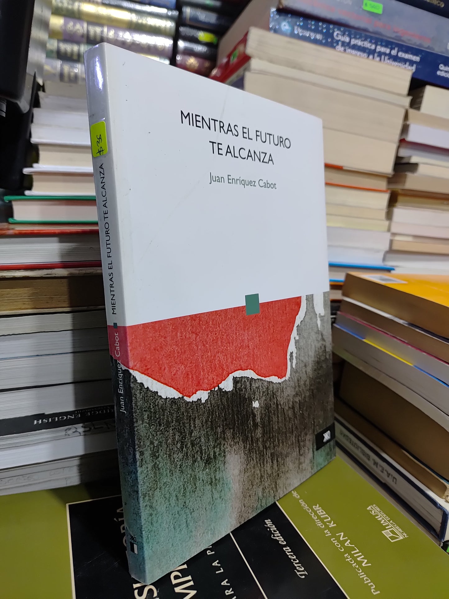 MIENTRAS EL FUTURO TE ALCANZA POR JUAN ENRIQUE CABOT USADO POLITICA JUAREZ 507