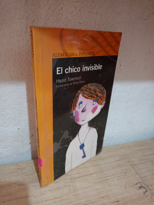 EL CHICO INVISIBLE POR HAZEL TOWNSON USADO INFANTIL LITERARIO 305