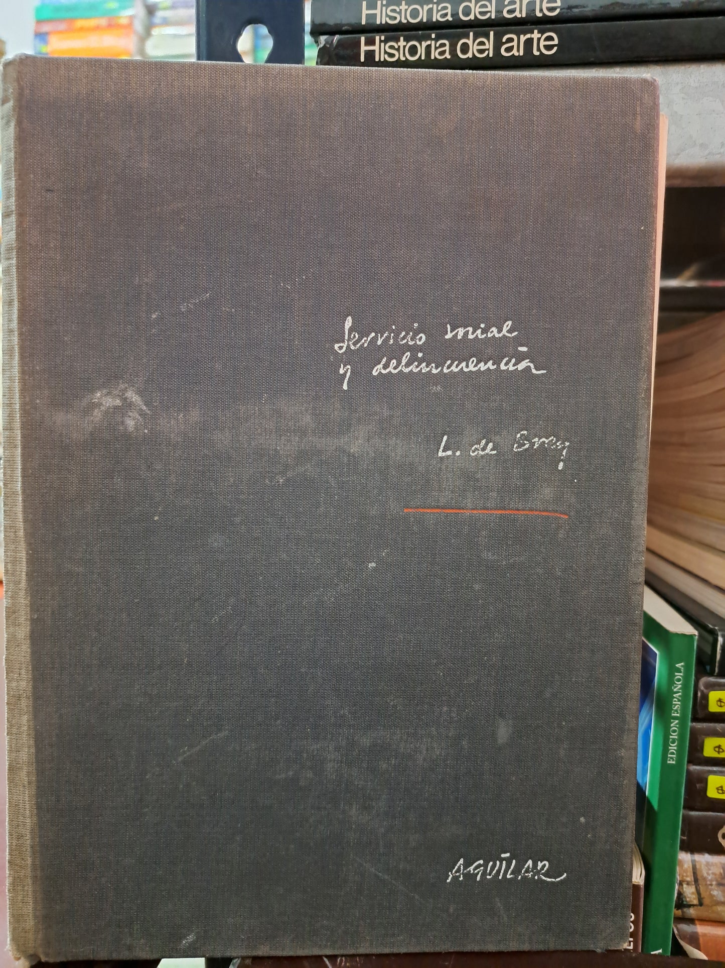 SERVICIO SOCIAL Y DELINCUENCIA L. DE BRAY USADO PSICOLOGÍA LITERARIO 305