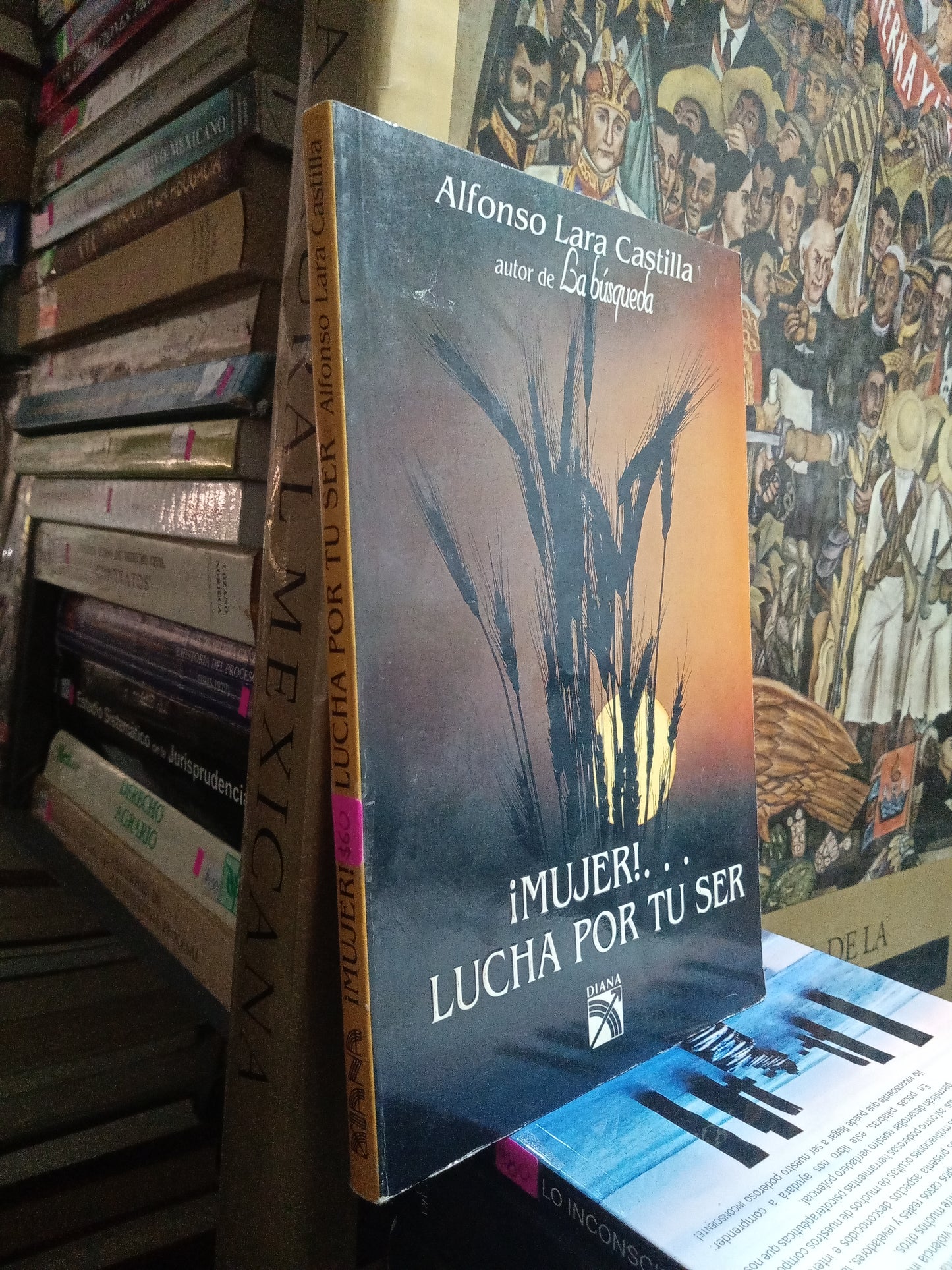 MUJER LUCHA POR TU SER POR ALFONSO LARA CASTILLA USADO SUPERACION PERSONAL JUAREZ