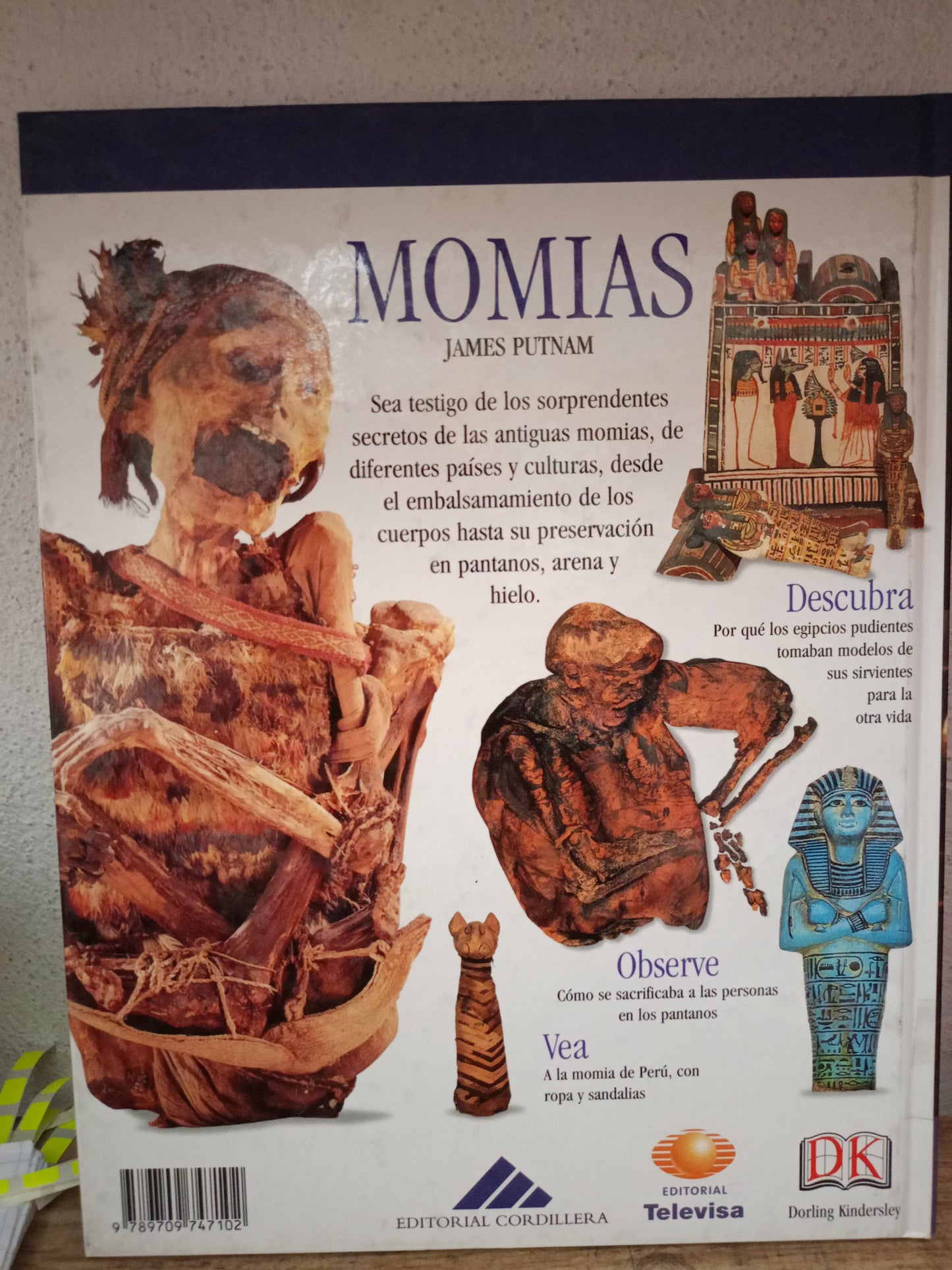 GUIAS VISUALES MOMIAS USADO INFANTIL LITERARIO 305