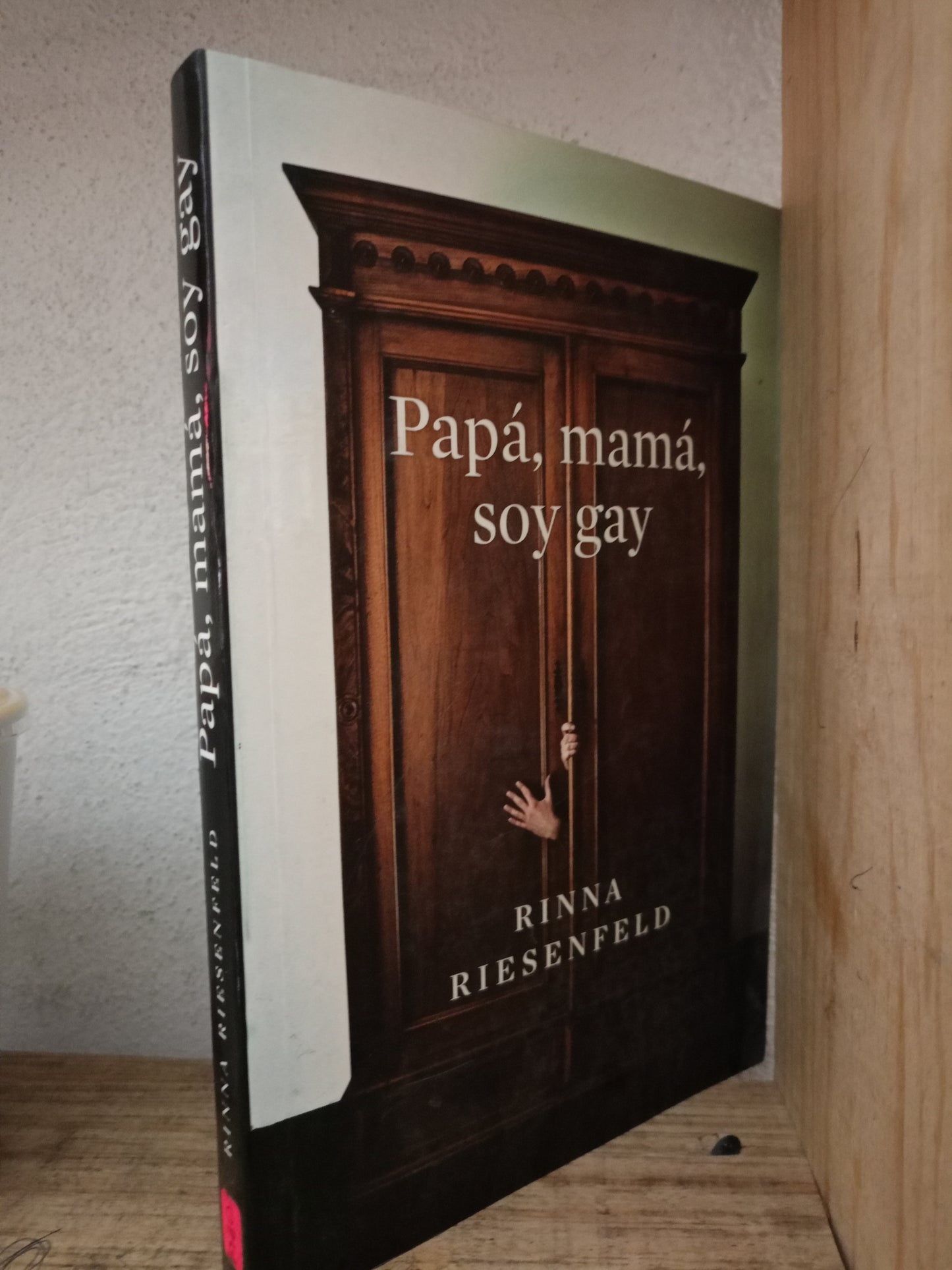 PAPA MAMA SOY GAY RINNA RIESENFELD USADO NOVELA LITERARIO 305