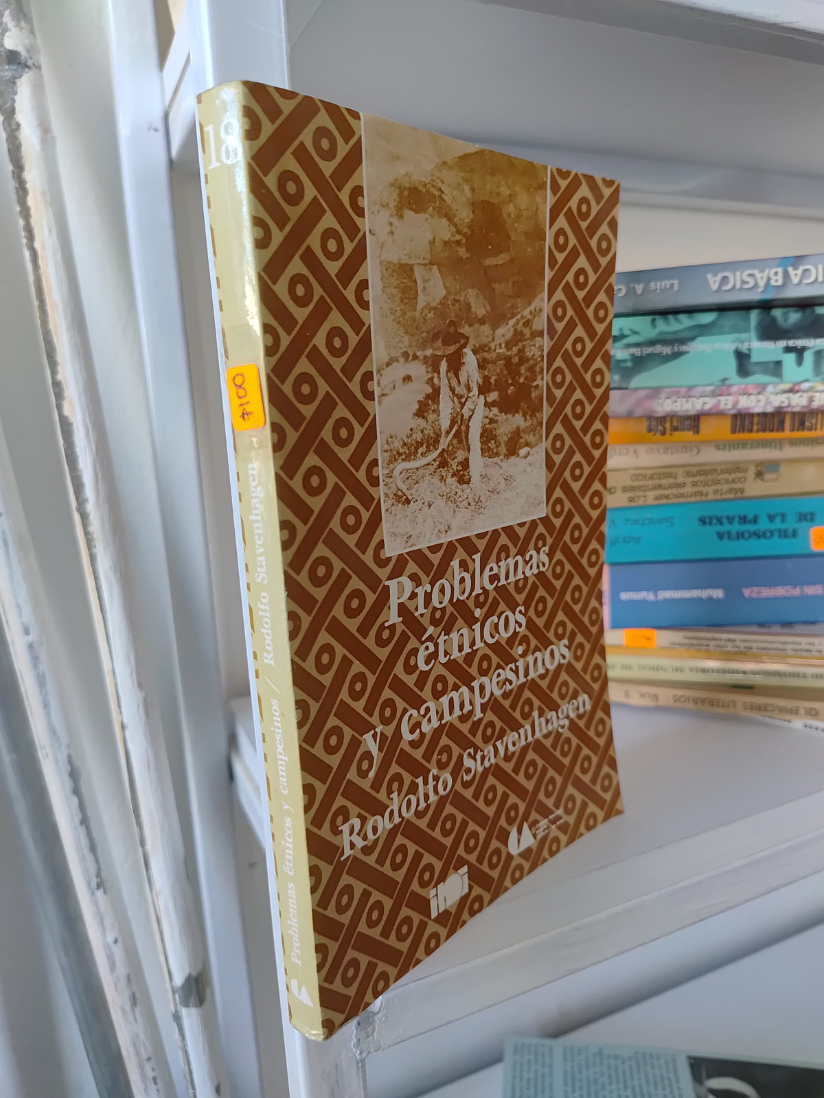 PROBLEMAS ETNICOS Y CAMPESINOS POR RODOLFO STAVENHAGEN USADO SOCIOLOGIA JUAREZ 515