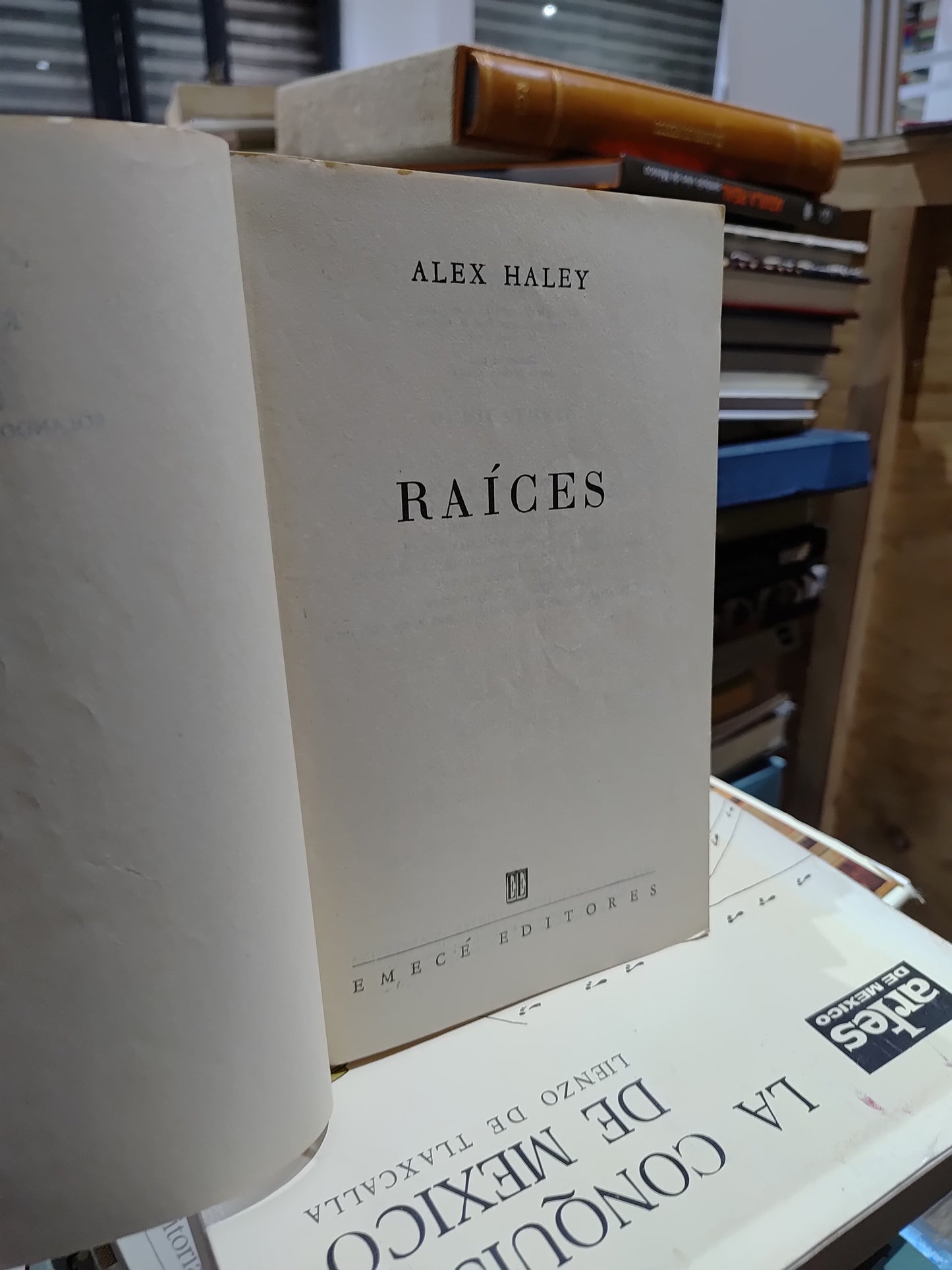 RAICES POR ALEX HAYLEY USADO NOVELAS JUAREZ 515