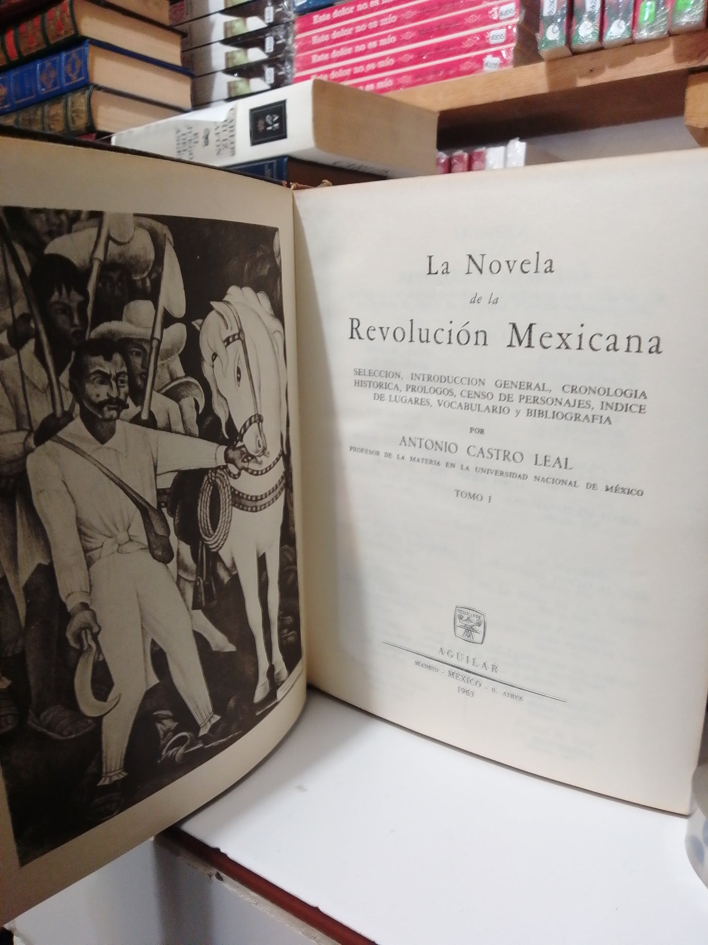 LA NOVELA DE LA REVOLUCION MEXICANA POR ANTONIO CASTRO LEAL USADO NOVELA JUAREZ