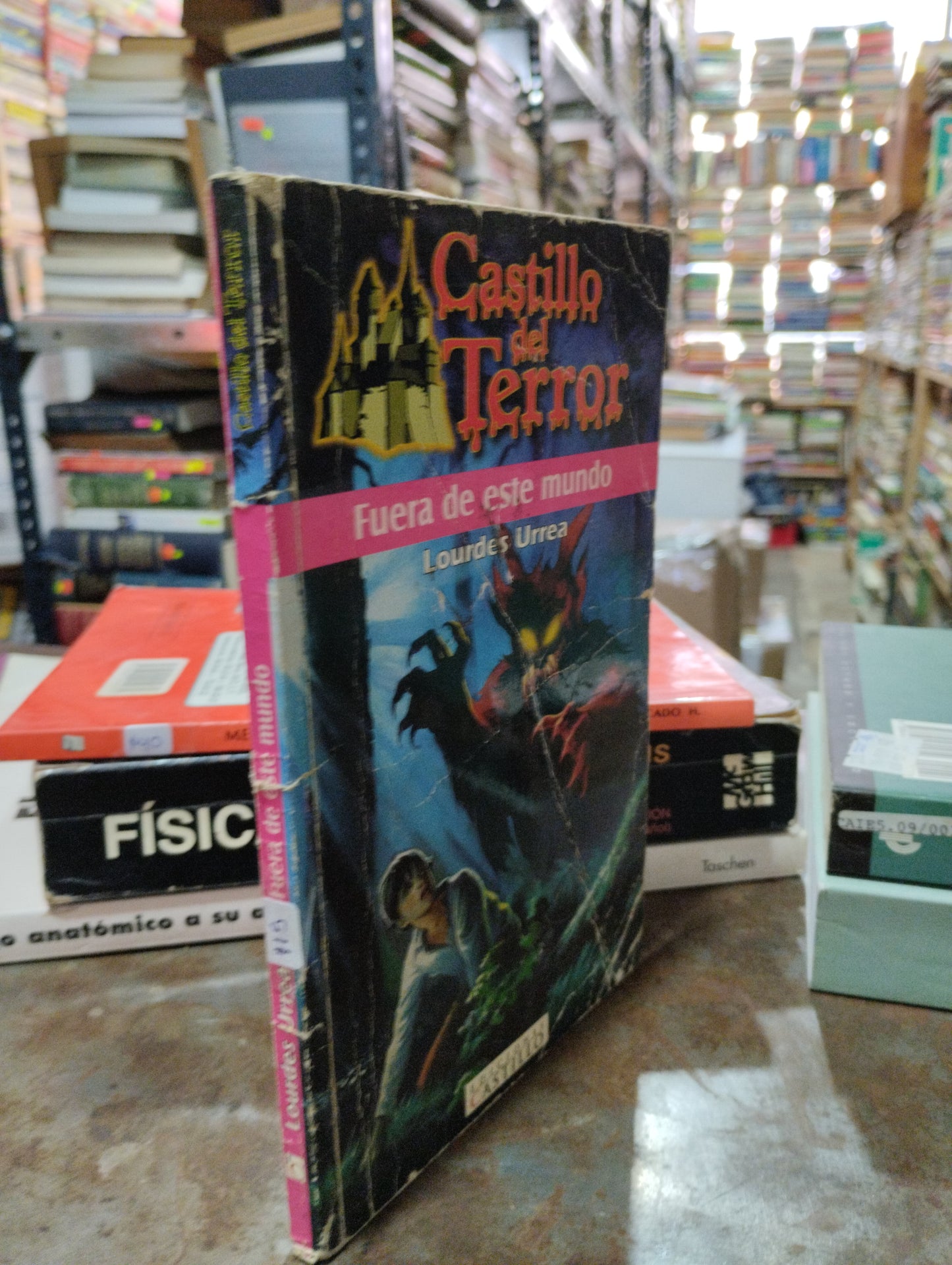 CASTILLO DEL TERROR POR LOURDES URREA USADO INFANTIL ALDAMA
