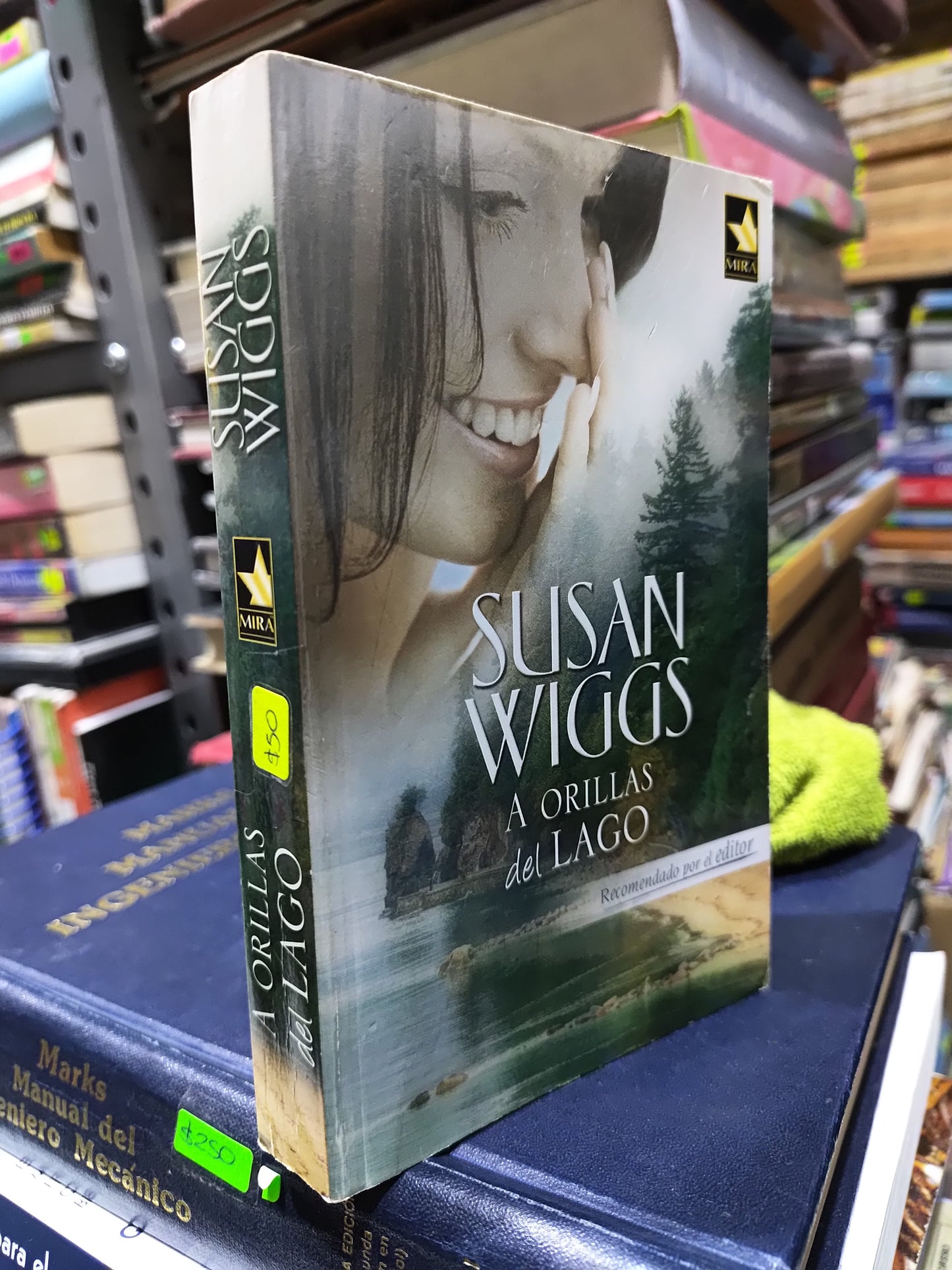 A LA ORILLA DEL LAGO POR SUSAN WIGGS USADO NOVELAS JUAREZ 507