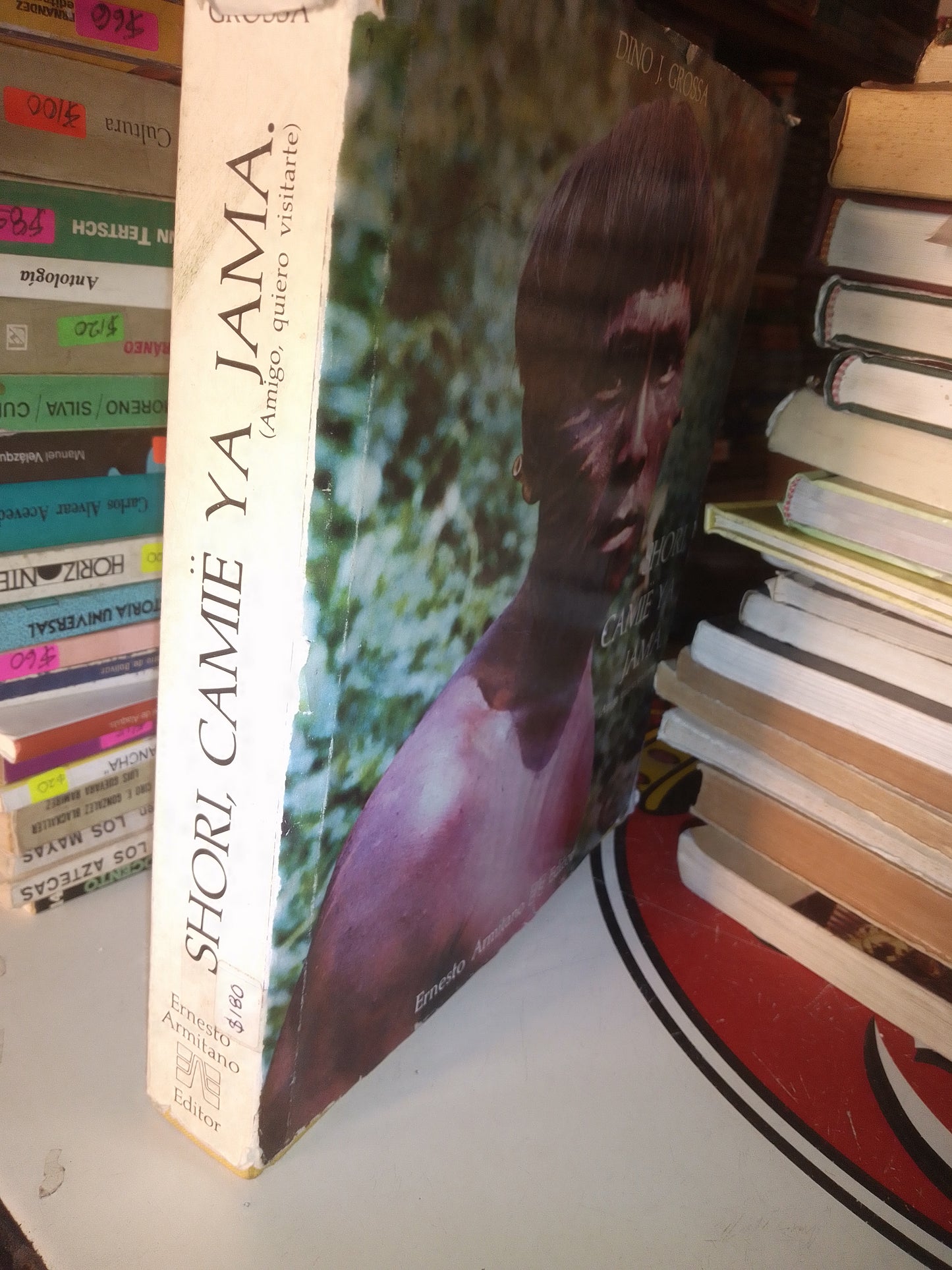 SHORI CAMIE YA JAMA AMIGO QUIERO VISITARTE POR DINO J GROSSA USADO HISTORIA LITERARIO 207