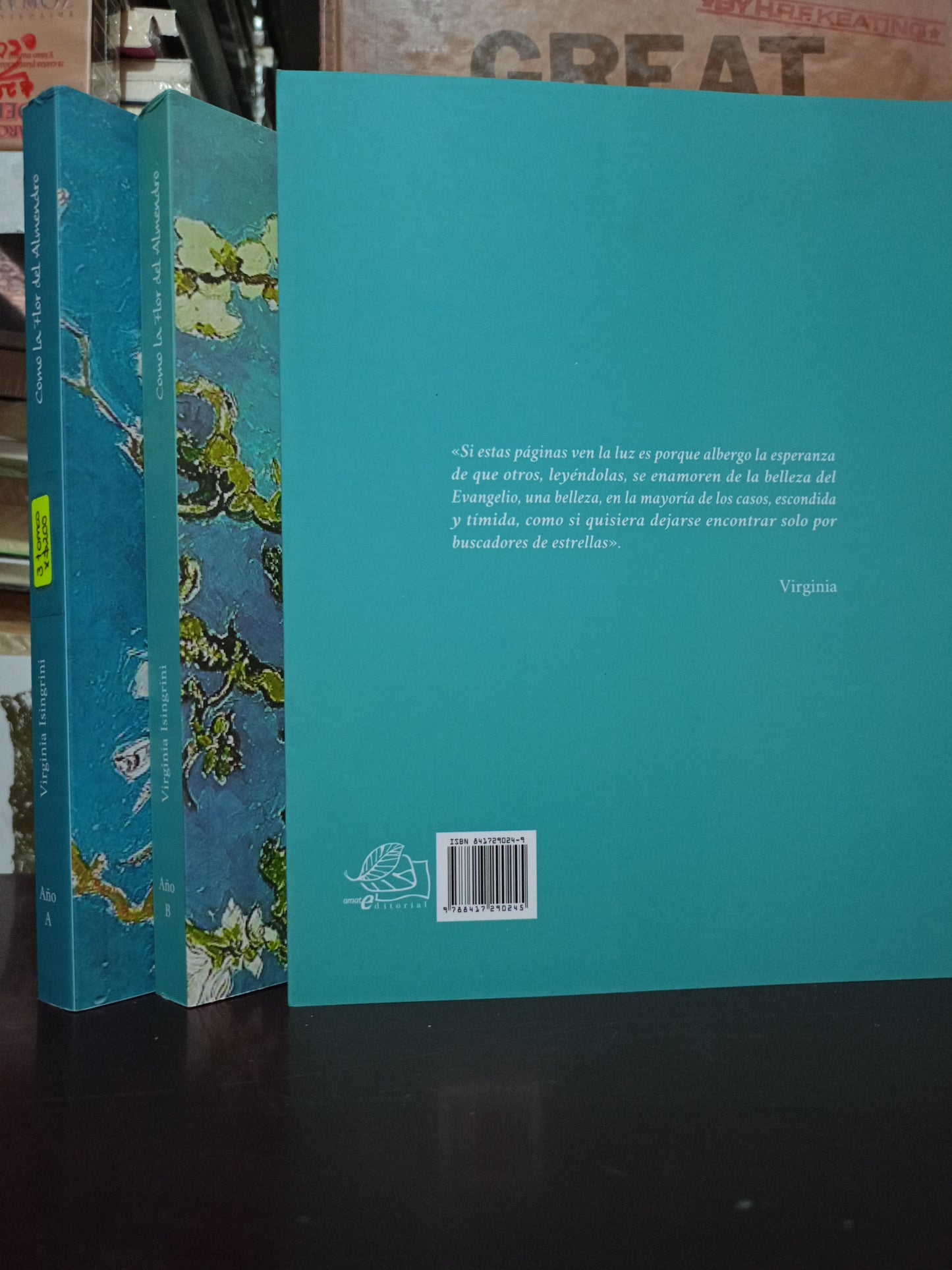 COMO LA FLOR DEL ALMENDRO VIRGINIA ISINGRINI USADO NOVELA LITERARIO 305