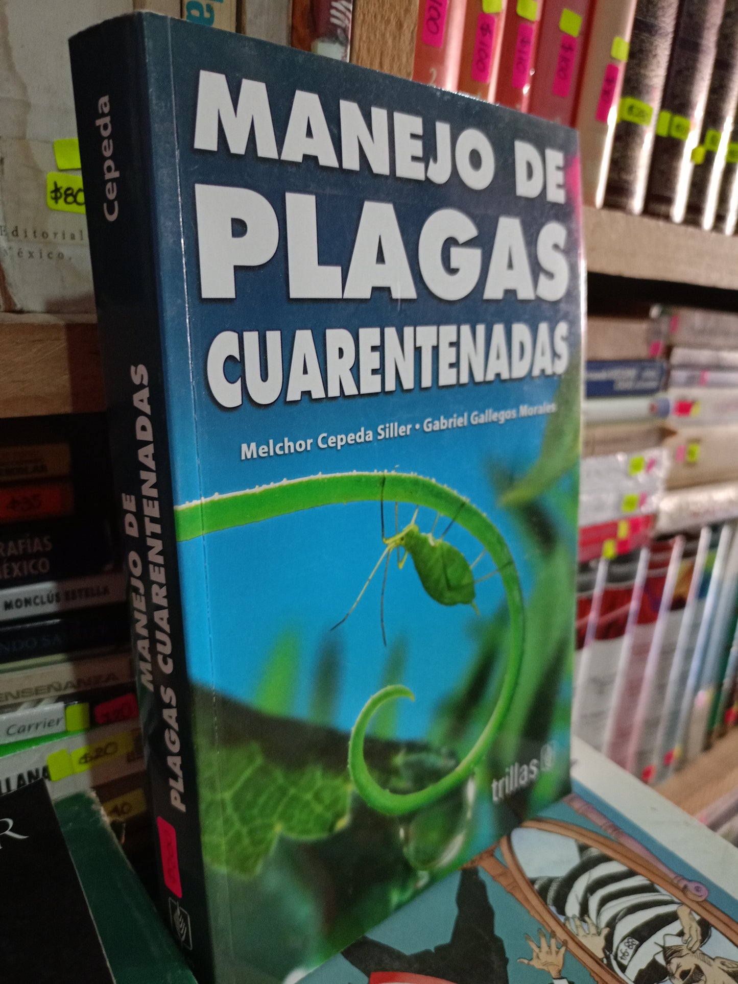 MANEJO DE PLAGAS CUARENTENADAS POR MELCHOR CEPEDA SILLER GABRIEL GALLEGOS MORALES USADO AGRICULTURA LITERARIO 305