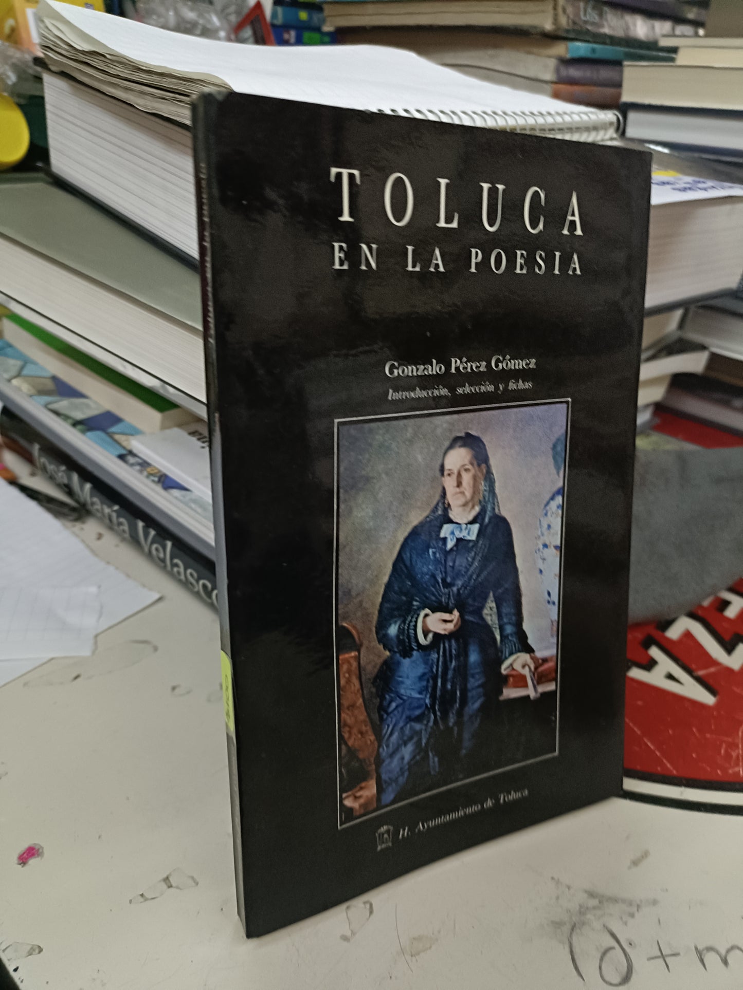 TOLUCA EN LA POESÍA POR GONZALO PÉREZ GÓMEZ USADO POESÍA LITERARIO 207