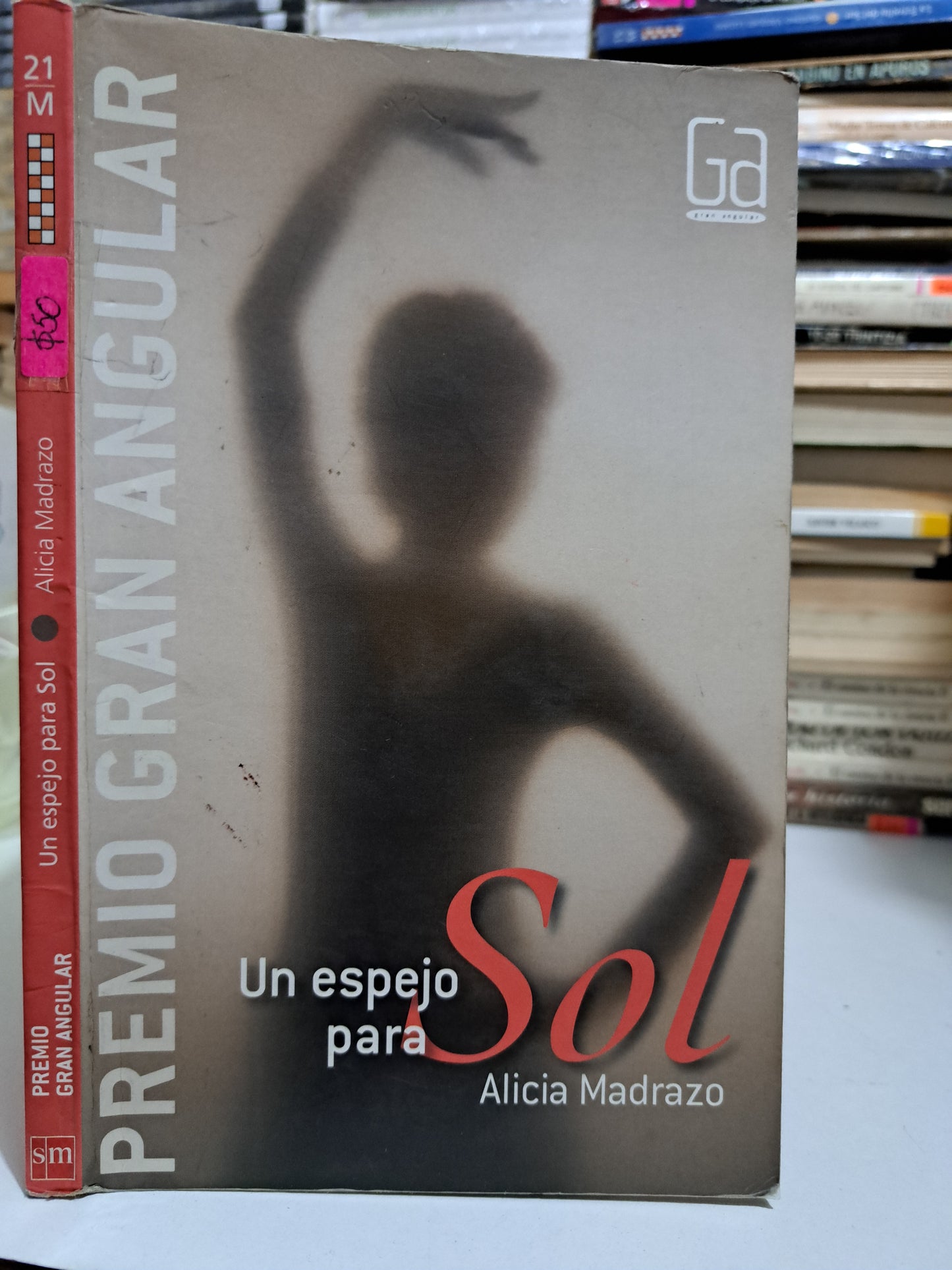 UN ESPEJO PARA SOL ALICIA MADRAZO USADO NOVELA JUÁREZ