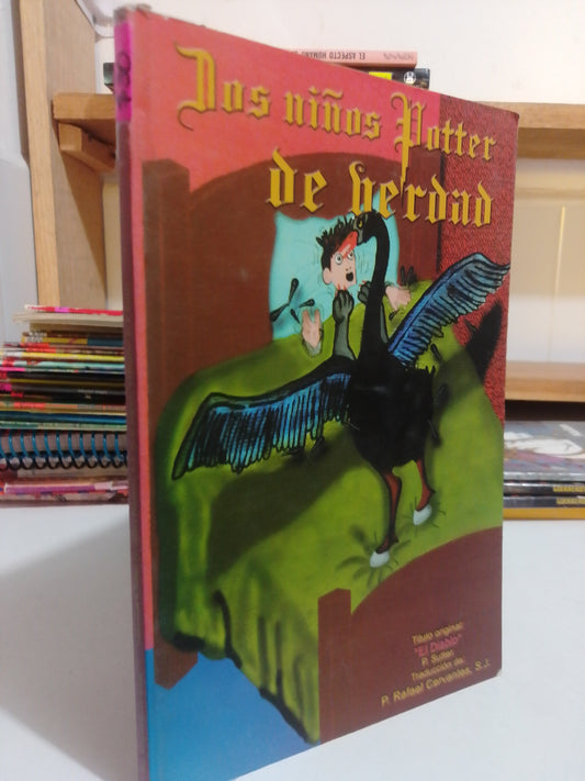 DOS NIÑOS POTTER DE VERDAD USADO INFANTIL JUAREZ