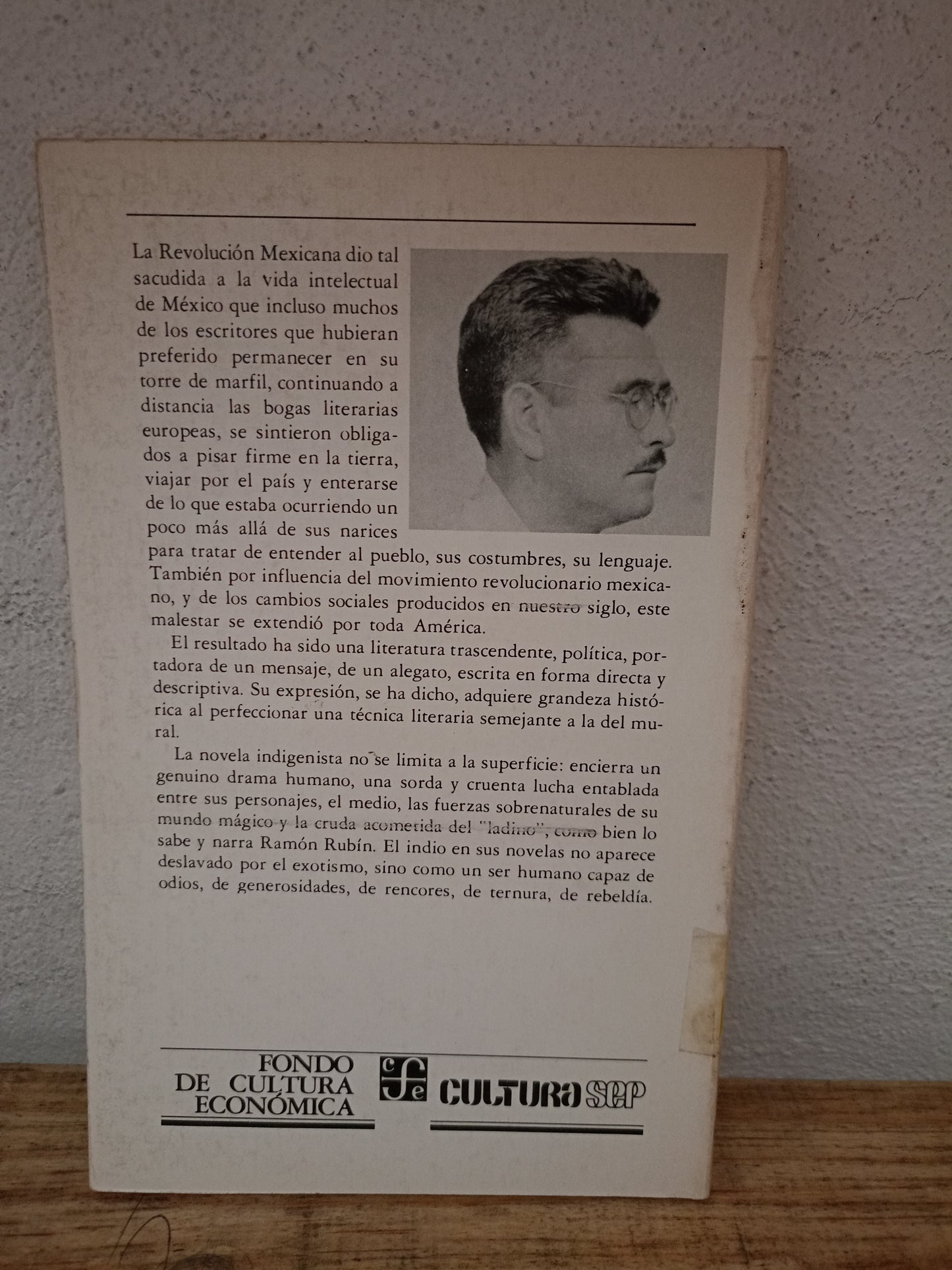 EL CANTO DE LA GRILLA POR RAMÓN RUBÍN USADO NOVELA LITERARIO 305