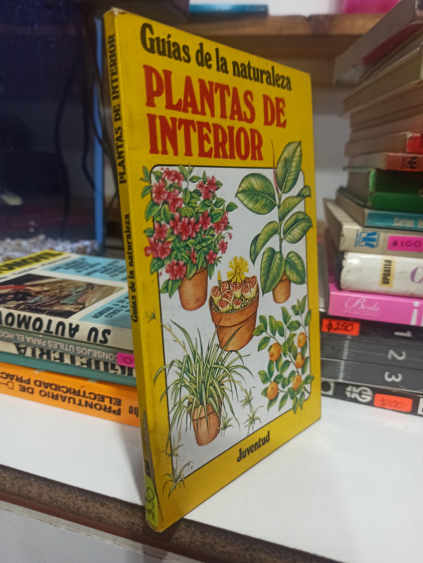 PLANTAS DE INTERIOR POR EDITORIAL JUVENTUD USADA OFICIOS JUÁREZ