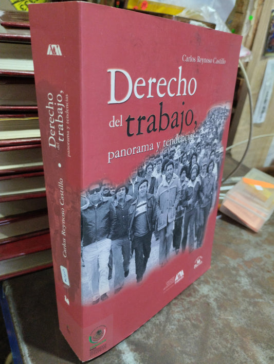DERECHO DEL TRABAJO PANORAMA Y TENDENCIA POR CARLOS REYNOSO CASTILLO USADO SOCIOLOGIA ALDAMA