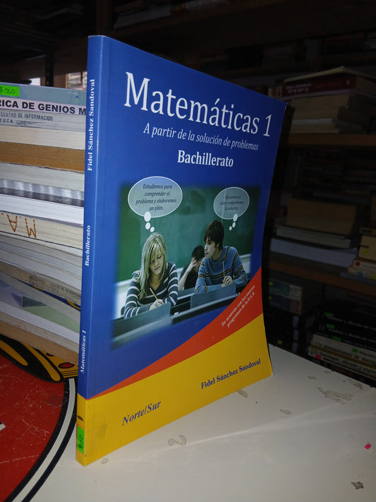 MATEMÁTICAS 1 (BACHILLERATO) POR FIDEL SÁNCHEZ SANDOVAL USADO MATEMÁTICAS LITERARIO 207