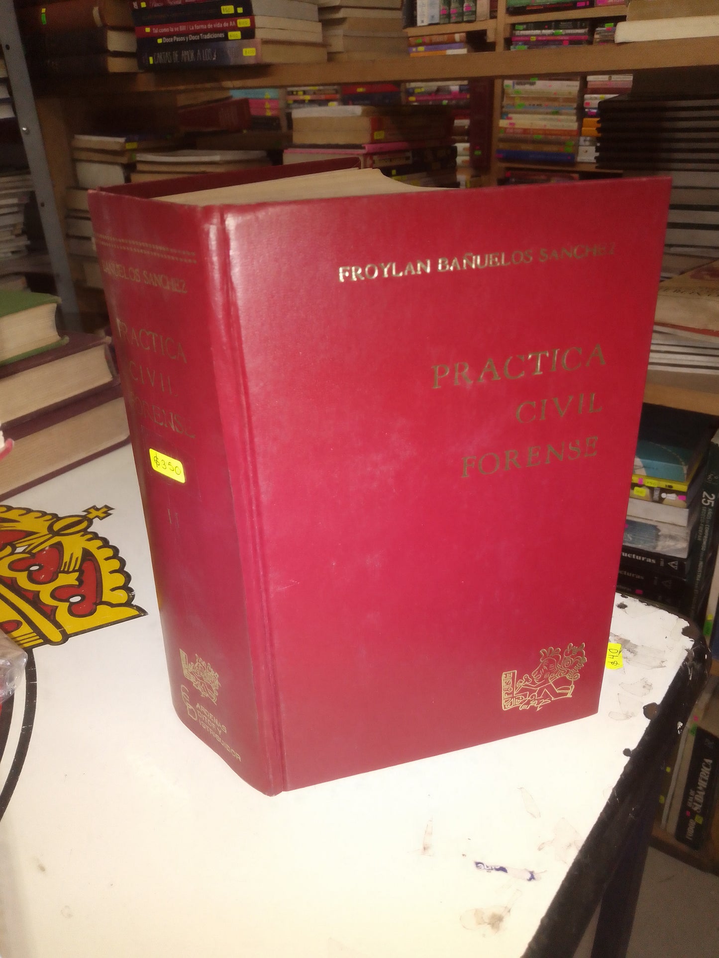 PRÁCTICA CIVIL FORENSE TOMO II POR FROYLAN BAÑUELOS SÁNCHEZ USADO DERECHO LITERARIO 207