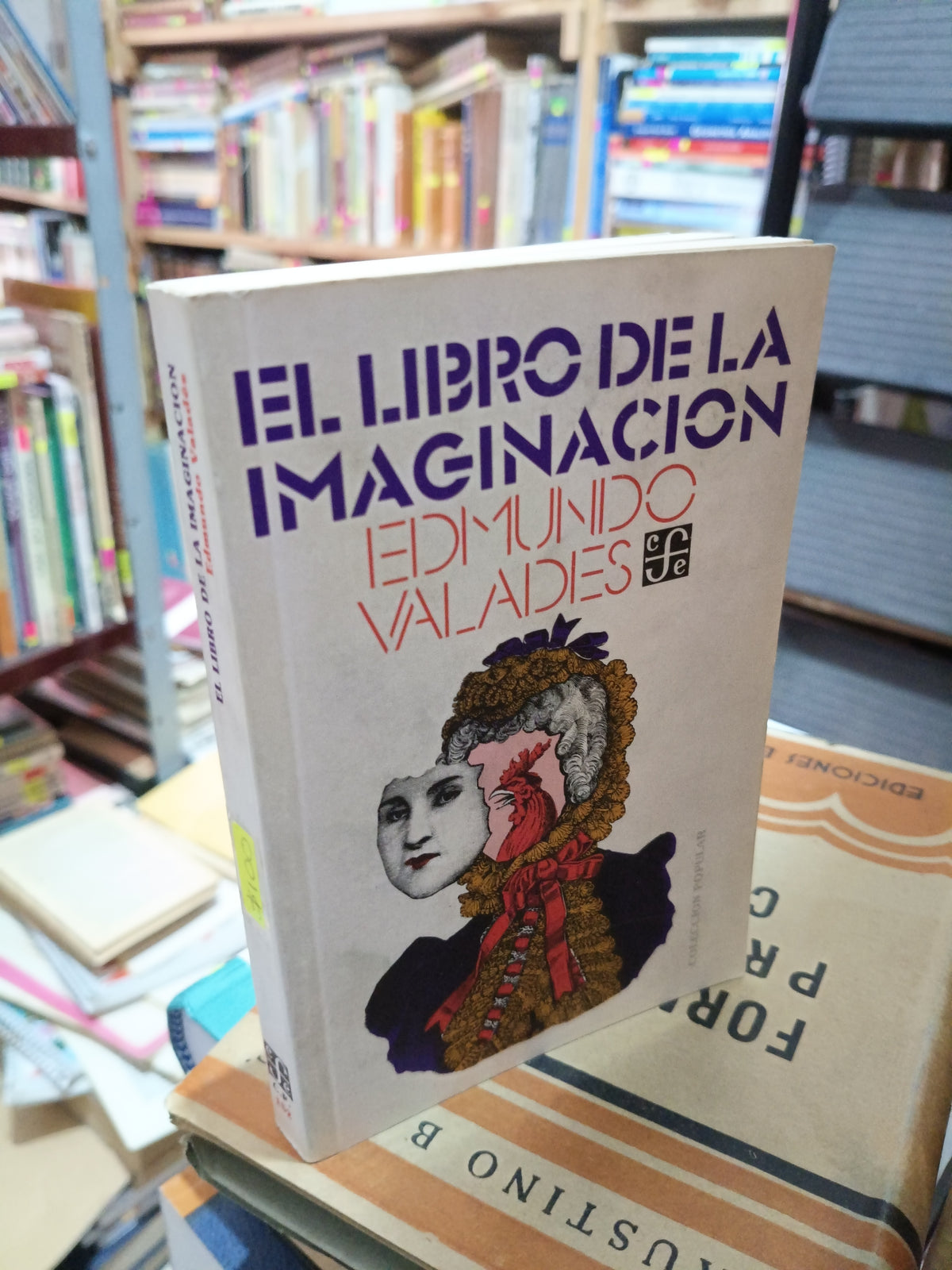 EL LIBRO DE LA IMAGINACION EDMUNDO VALADES USADO NOVELA LITERARIO 305