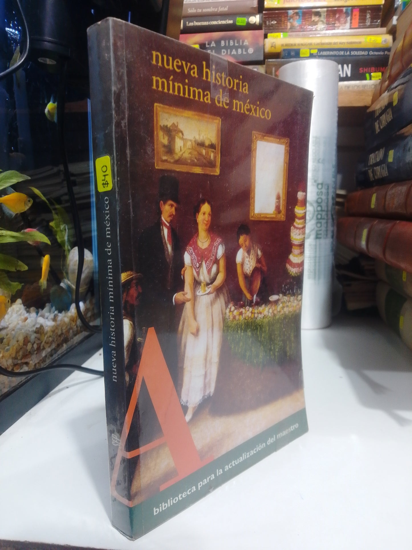 NUEVA HISTORIA MINIMA DE MEXICO POR PABLO ESCALANTE GONZALBO, USADO, HISTORIA, JUAREZ 515