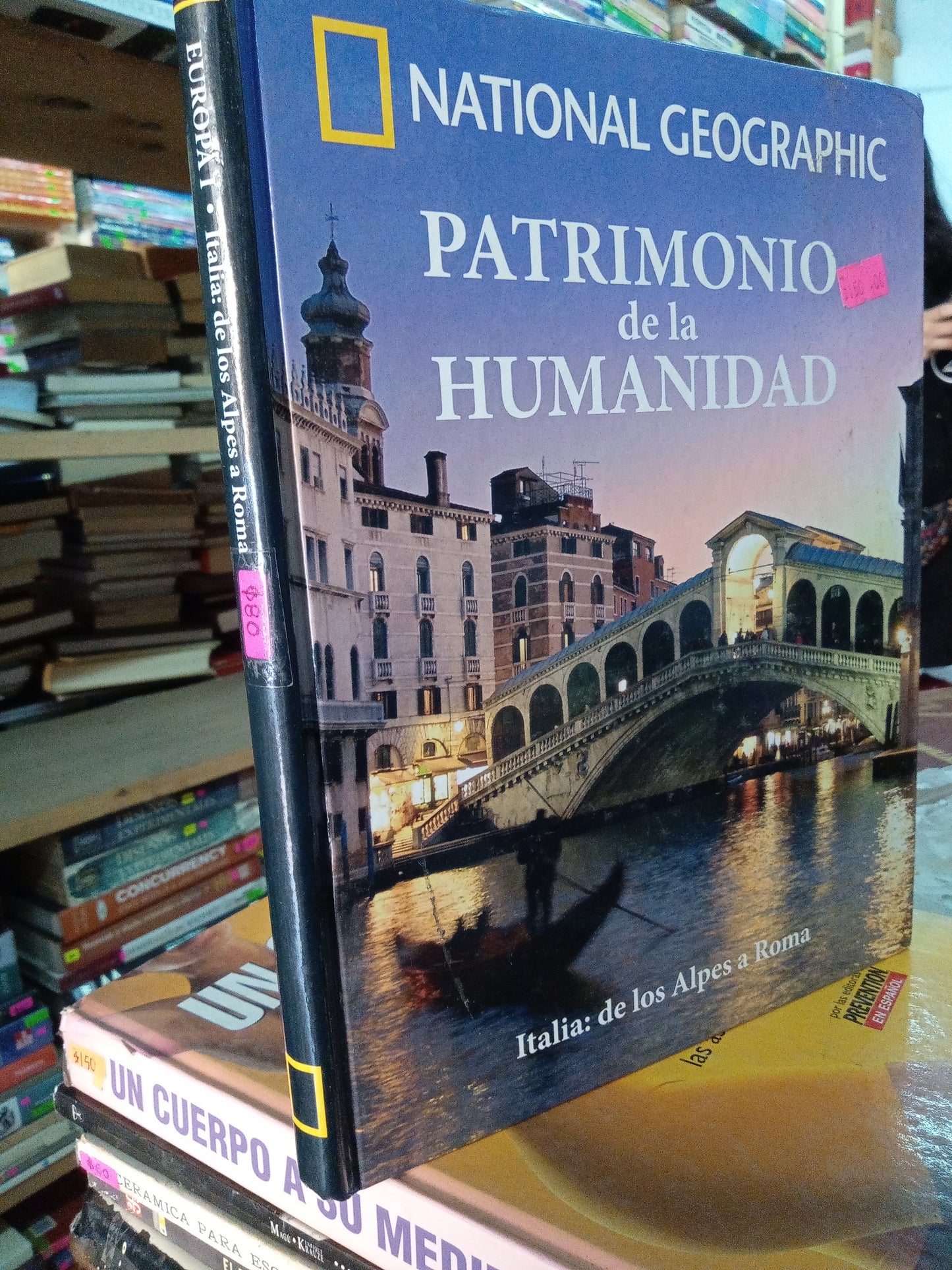 PATRIMONIO DE LA HUMANIDAD ITALIA DE LOS ALPES A ROMA USADO HISTORIA LITERARIO 207