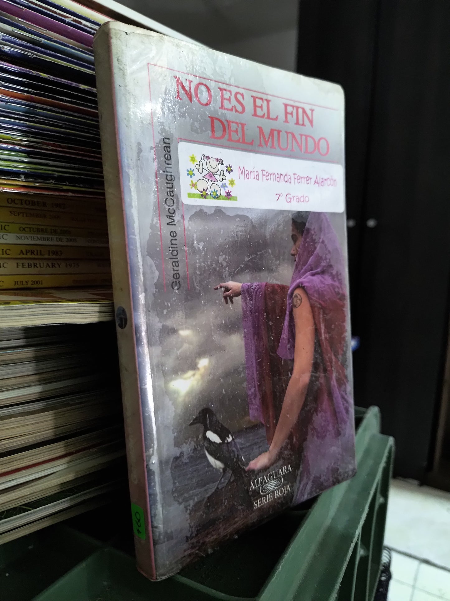 NO ES EL FIN DEL MUNDO POR GERALDINE MCCAUGHREAN USADO NOVELAS JUAREZ 515