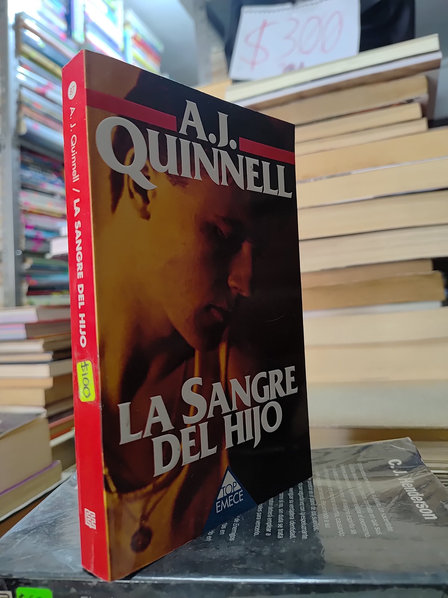 LA SANGRE DEL HIJO POR A. J. QUINNELL USADO NOVELAS JUAREZ 507