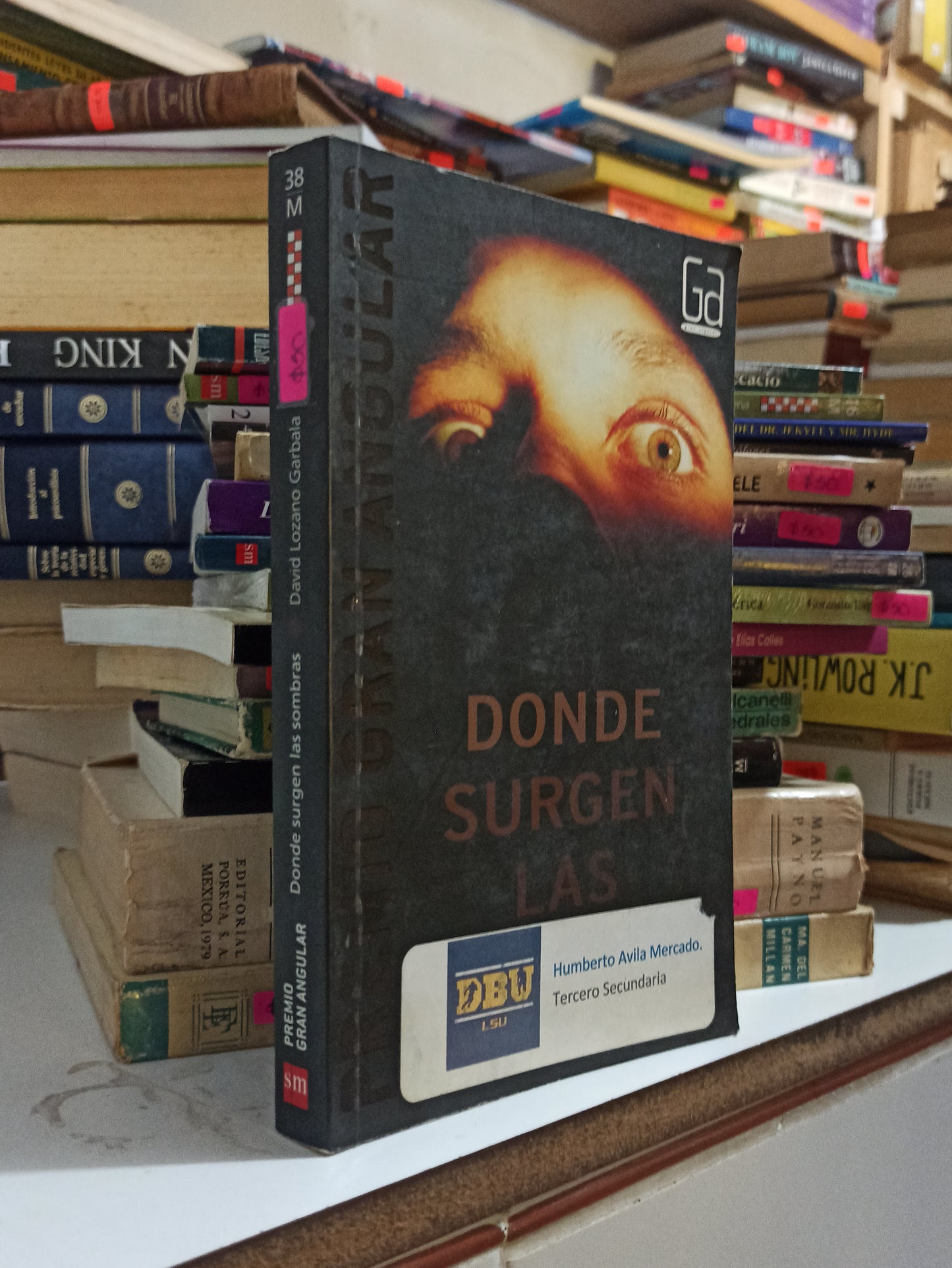 DONDE SURGEN LAS SOMBRAS POR DAVID LOZANO GARBALA USADO NOVELAS JUÁREZ