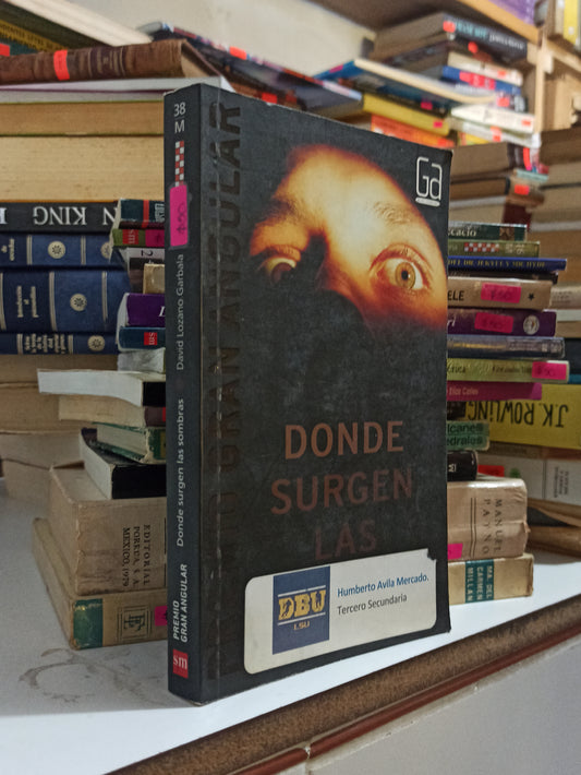 DONDE SURGEN LAS SOMBRAS POR DAVID LOZANO GARBALA USADO NOVELAS JUÁREZ