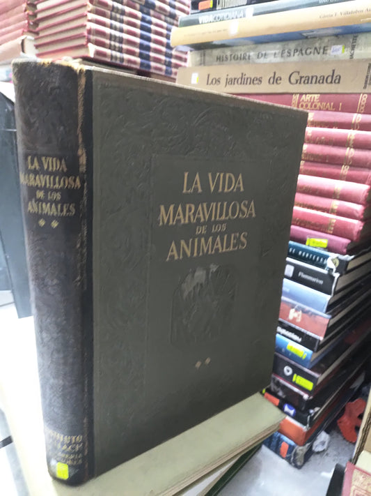 LA VIDA MARAVILLOSA DE LOS ANIMALES POR EDITORIAL GALLACH USADO ARTES JUAREZ 507