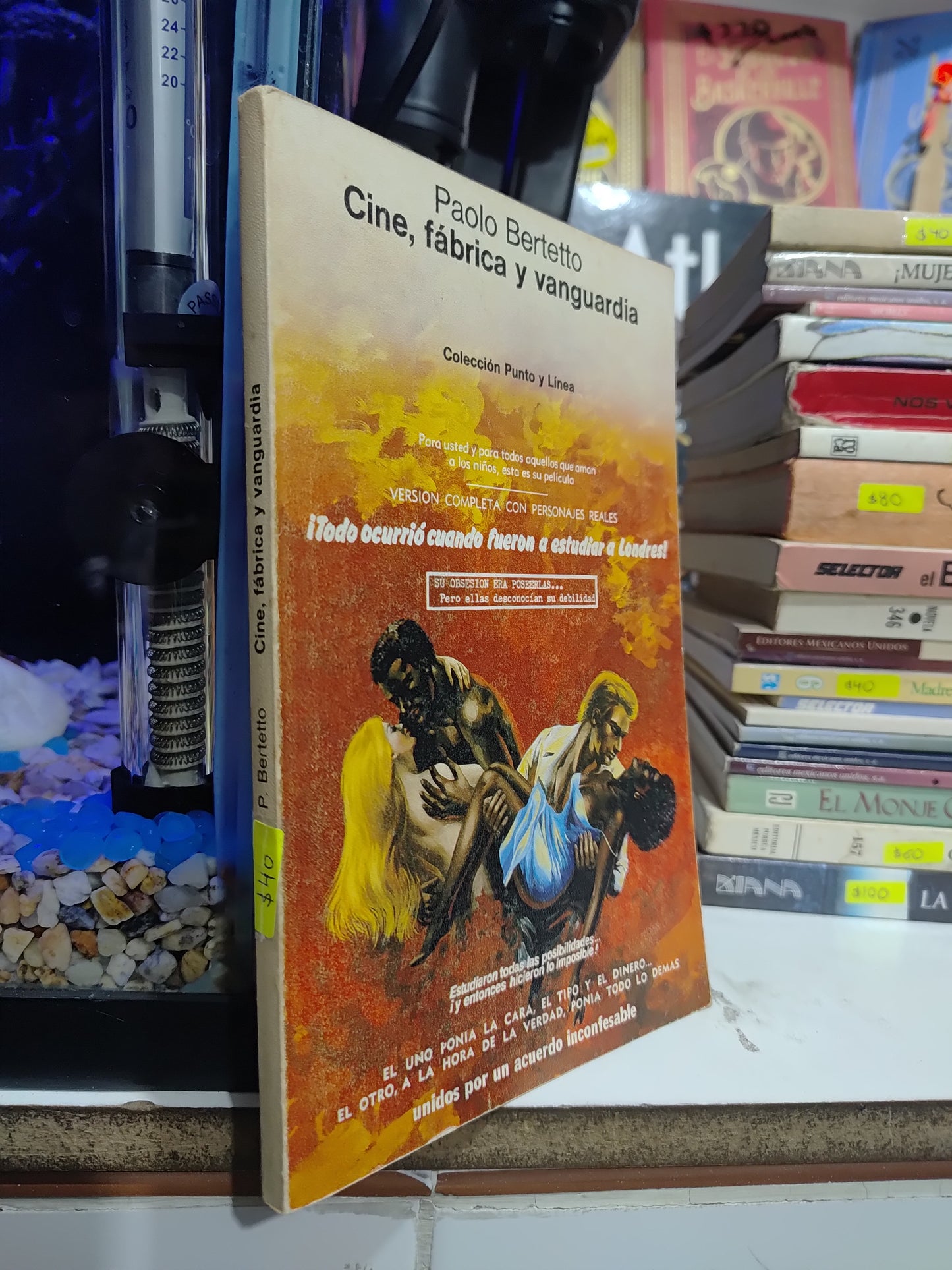 CINE FABRICA Y VANGUARDIA POR PAOLO BERTETTO USADO SOCIOLOGIA JUAREZ