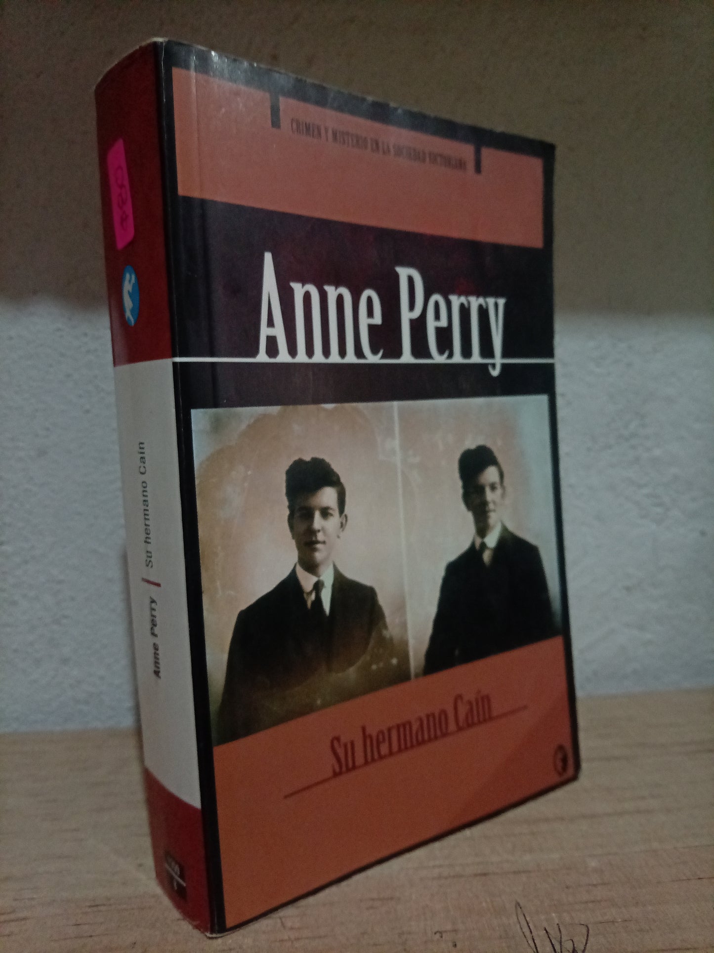 SU HERMANO CAIN POR ANNE PERRY USADO NOVELA LITERARIO 305