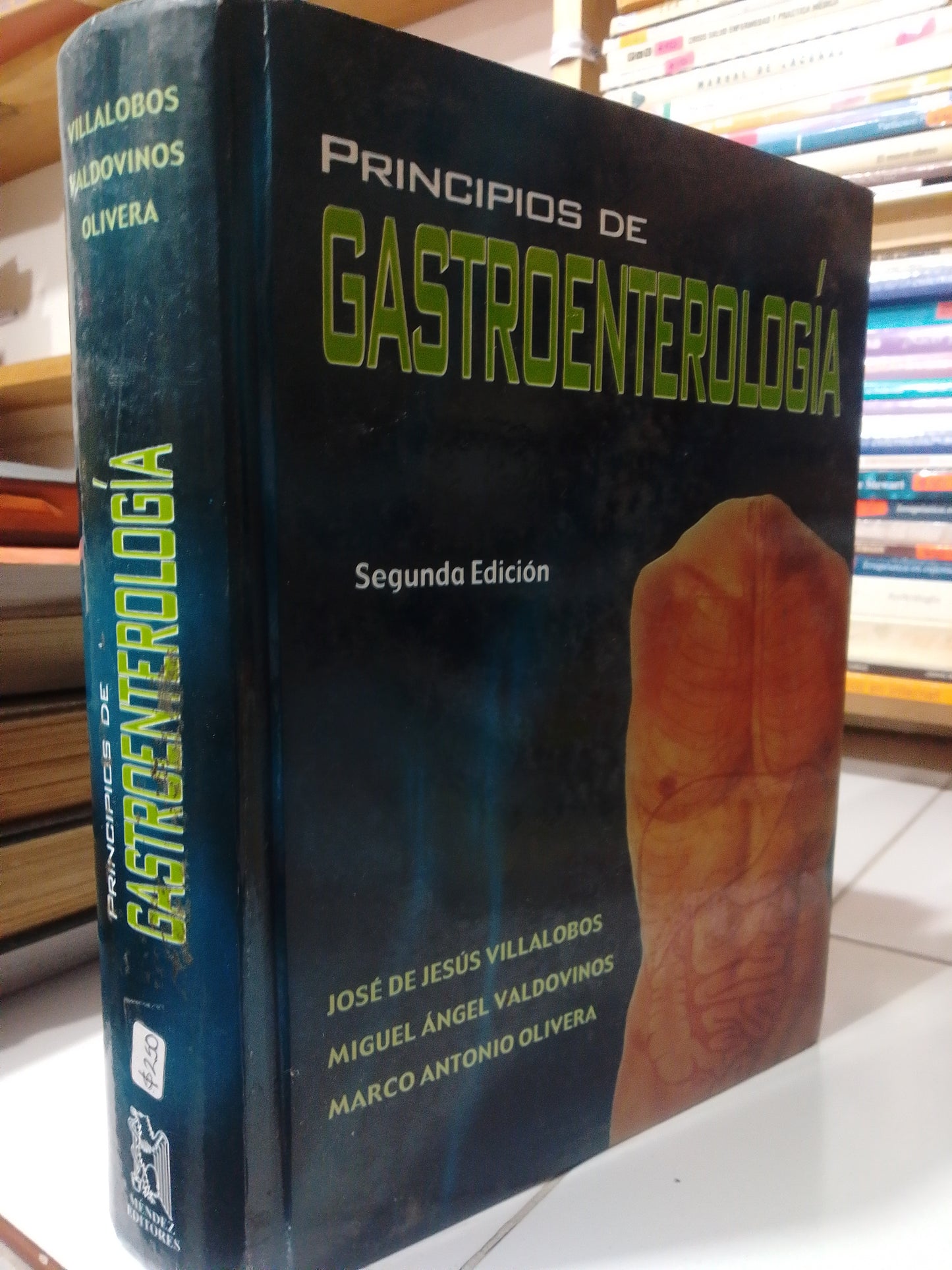 PRINCIPIOS DE GASTROENTEROLOGIA POR JOSE DE JESUS VILLALOBOS USADO SALUD JUAREZ