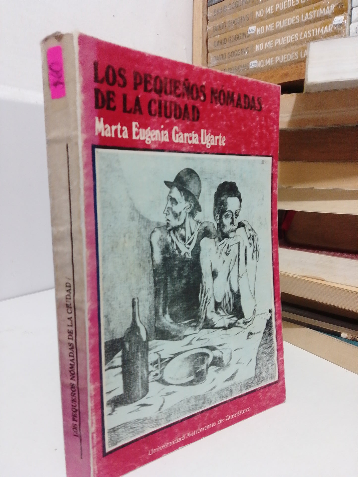LOS PEQUEÑOS NÓMADAS DE LA CIUDAD POR MARTA EUGENIA GARCÍA UGARTE USADO NOVELA JUÁREZ