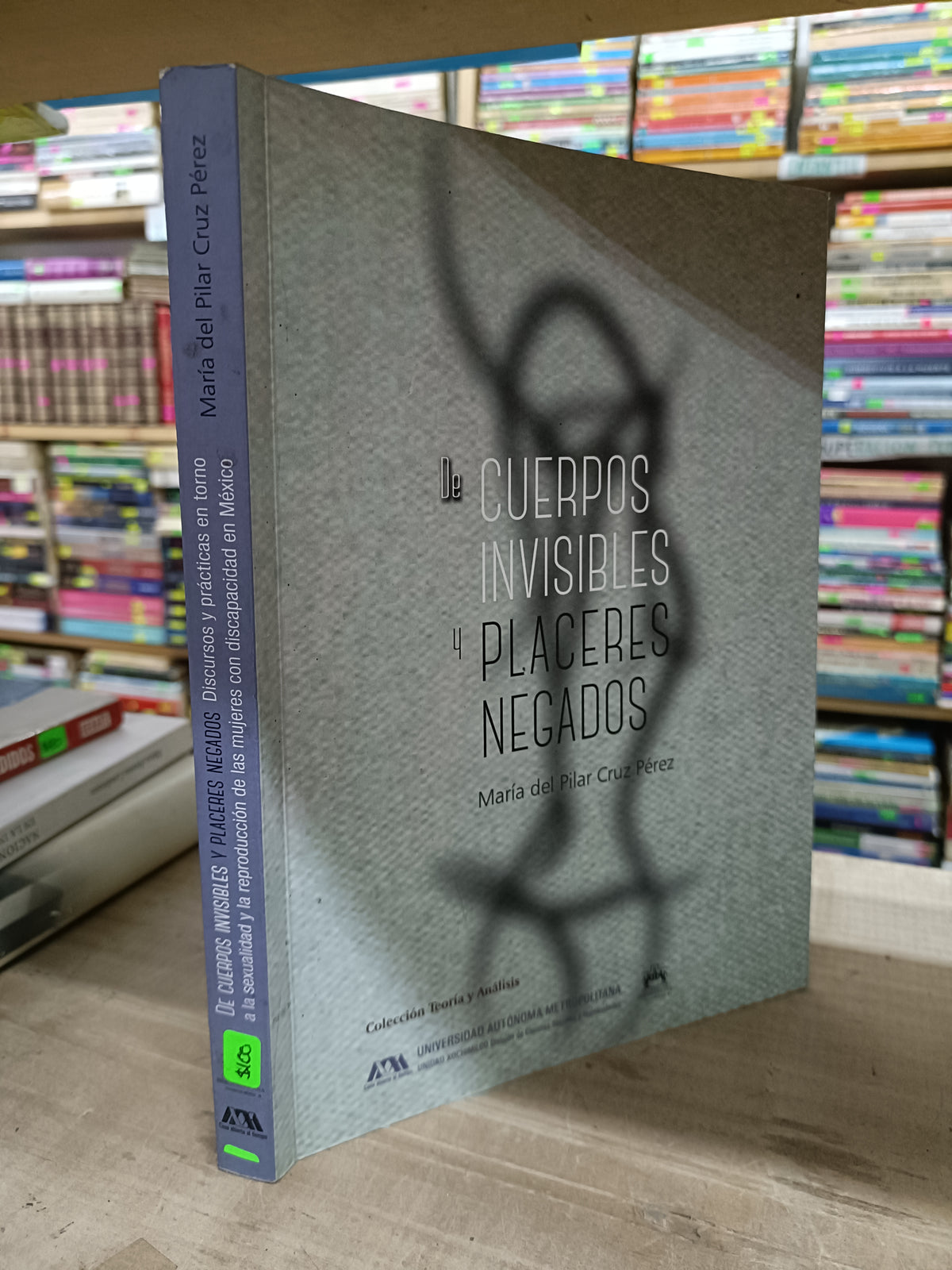 DE CUERPOS INVISIBLES Y PLACERES NEGADOS POR MARIA DEL PILAR CRUZ PEREZ USADO SOCIOLOGIA LITERARIO 207