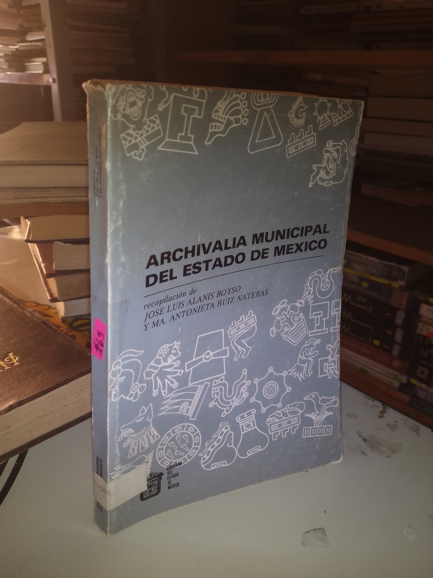 ARCHIVALIA MUNICIPAL DEL ESTADO DE MÉXICO COMPILADO POR JOSÉ LUIS ALANÍS BOYSO Y MA. ANTONIETA RUIZ NATERAS USADO HISTORIA LITERARIO 207