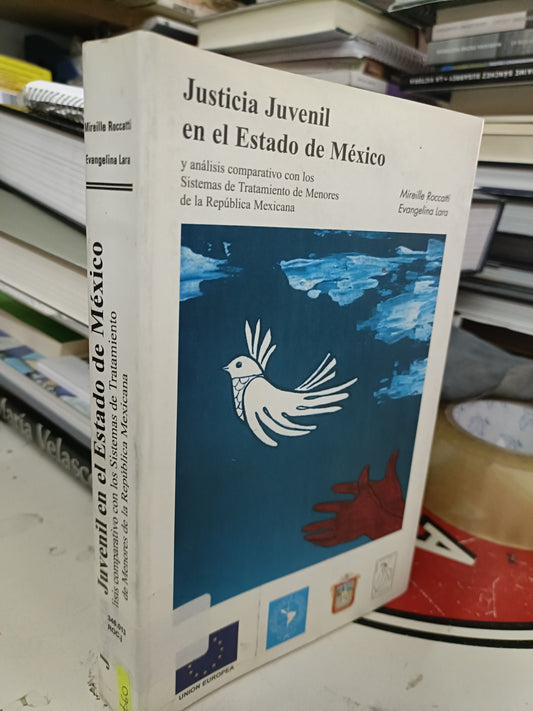 JUSTICIA JUVENIL EN EL ESTADO DE MÉXICO Y ANÁLISIS COMPARATIVO CON LOS SISTEMAS DE TRATAMIENTO DE MENORES DE LA REPÚBLICA MEXICANA POR MIRRILLE ROCCOTTI EVANGELINA LARA USADO POLÍTICA LITERARIO 207