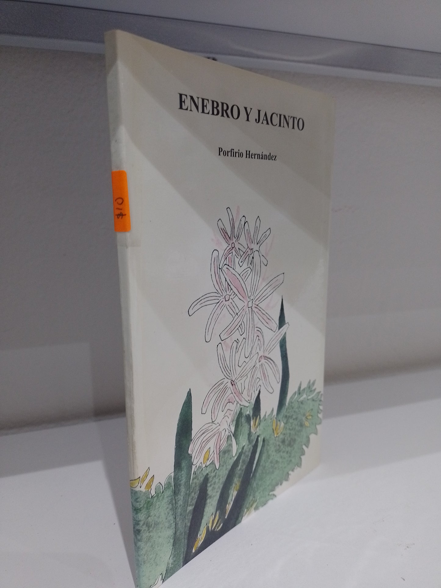 ENEBRO Y JACINTO POR PORFIRIO HERNANDEZ USADO NOVELA JUAREZ 515