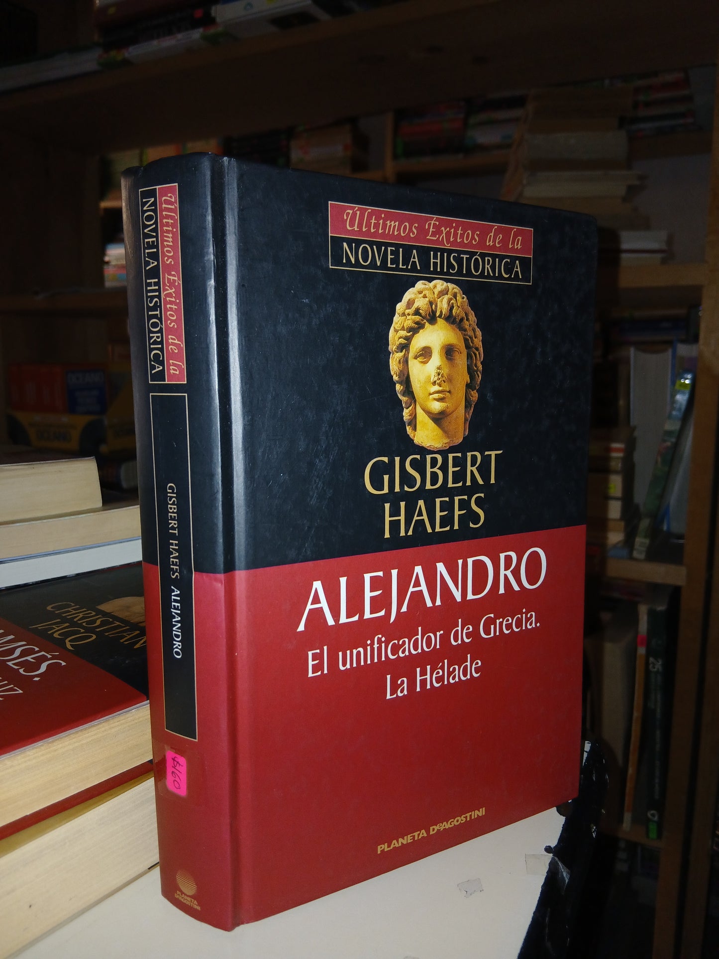 ALEJANDRO POR GISBERT HAEFS USADO NOVELA LITERARIO 207