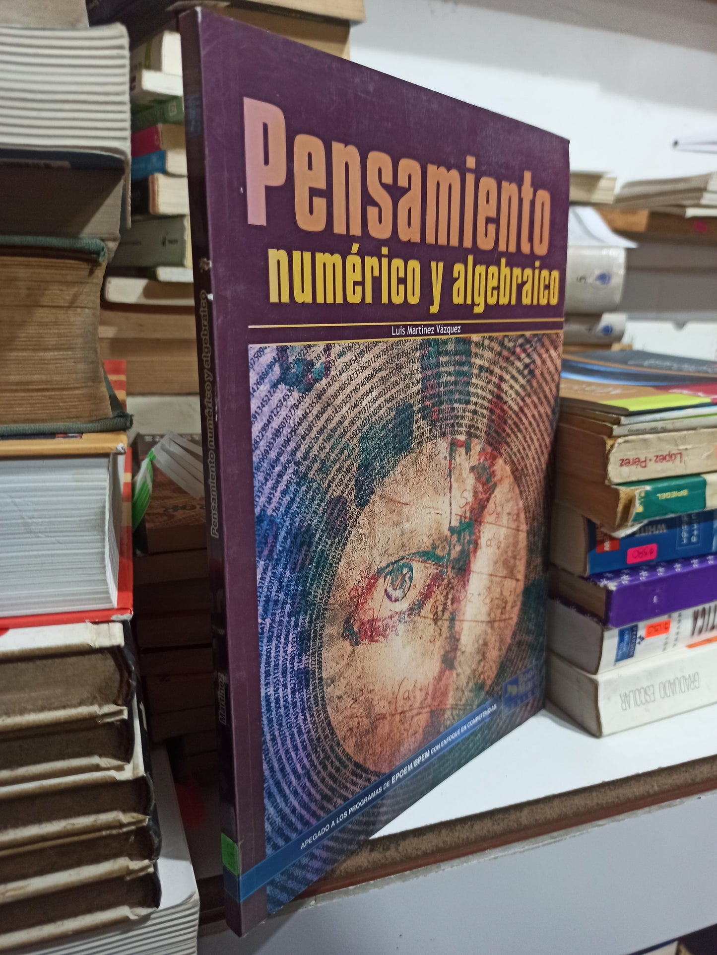 PENSAMIENTO NUMERICO Y ALGEBRAICO POR LUIS MARTINEZ VAZQUEZ USADO MATEMÁTICAS JUÁREZ