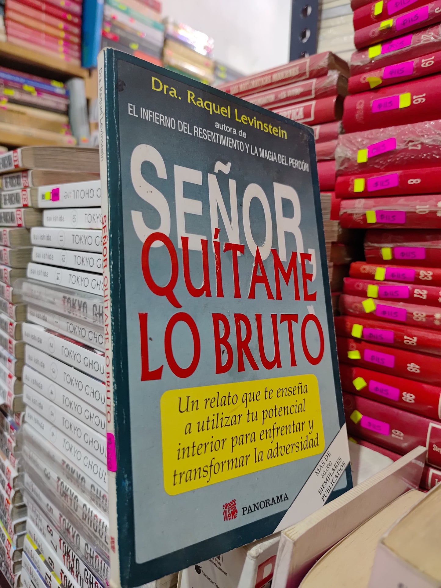SEÑOR QUITAME LO BRUTO POR RAQUEL LEVINSTEIN USADO SUP PERSONAL LITERARIO 305