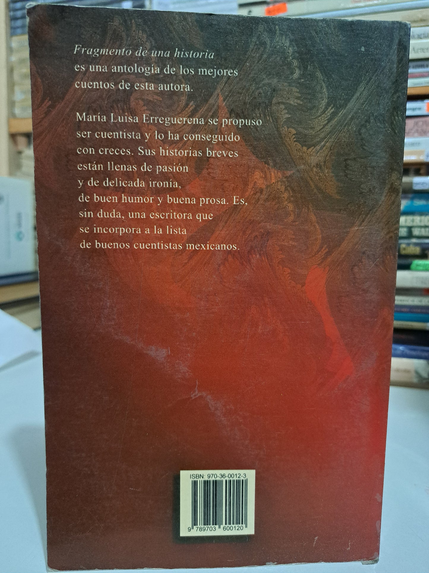 FRAGMENTO DE UNA HISTORIA MARÍA LUISA ERREGUERENA ALBAITERO USADO NOVELA JUÁREZ