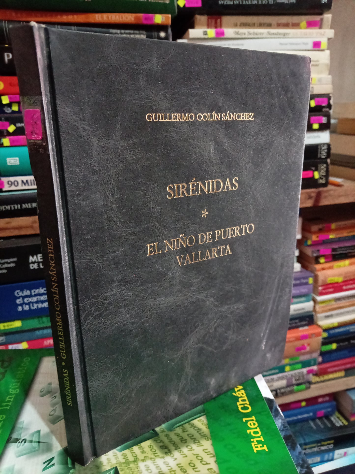 SIRENIDAS EL NIÑOS DE PUERTO VALLARTA POR GUILLERMO COLIN SÁNCHEZ USADO POESIA LITERARIO 305