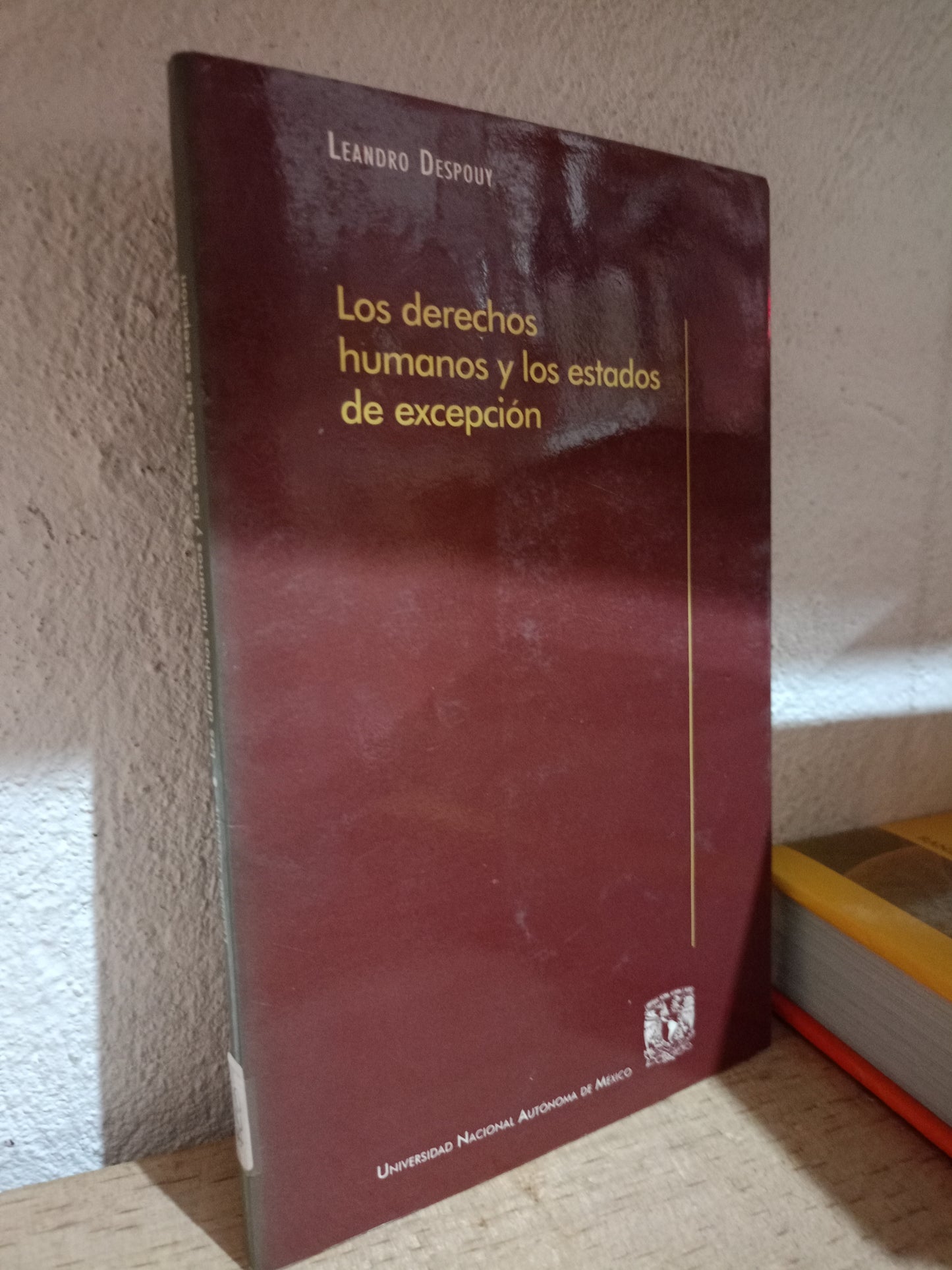 LOS DERECHOS HUMANOS Y LOS ESTADOS DE EXCEPCION POR LEANDRO DESPOUY USADO DERECHO LITERARIO 305