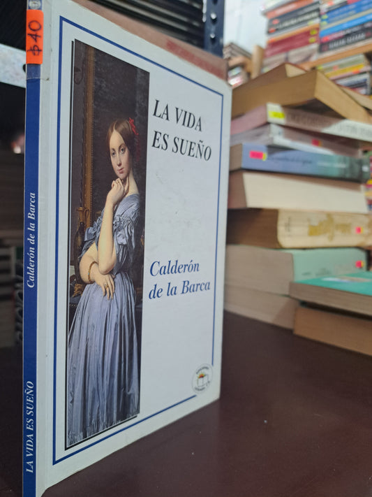 LA VIDA ES UN SUEÑO CALDERÓN DE LA BARCA USADO NOVELA LITERARIO 305