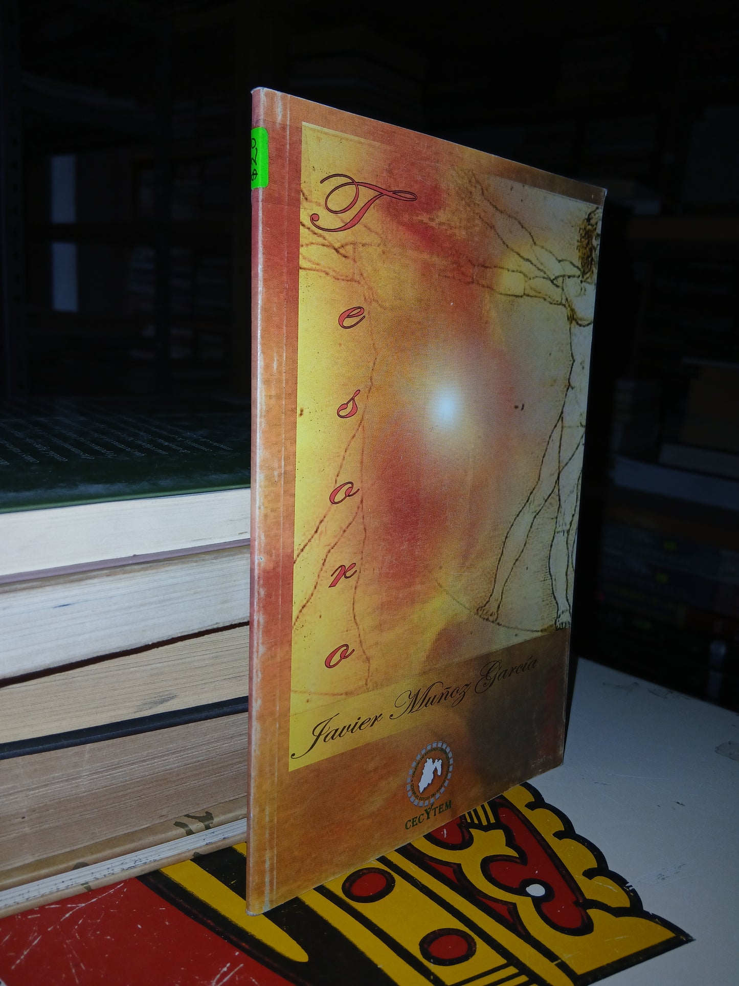 TESORO POR JAVIER MUÑOZ GARCÍA USADO NOVELA LITERARIO 207